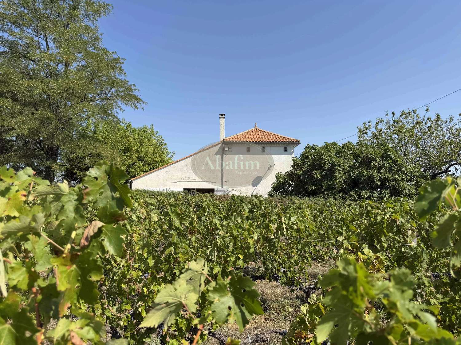  for sale house Ordonnac Gironde 6