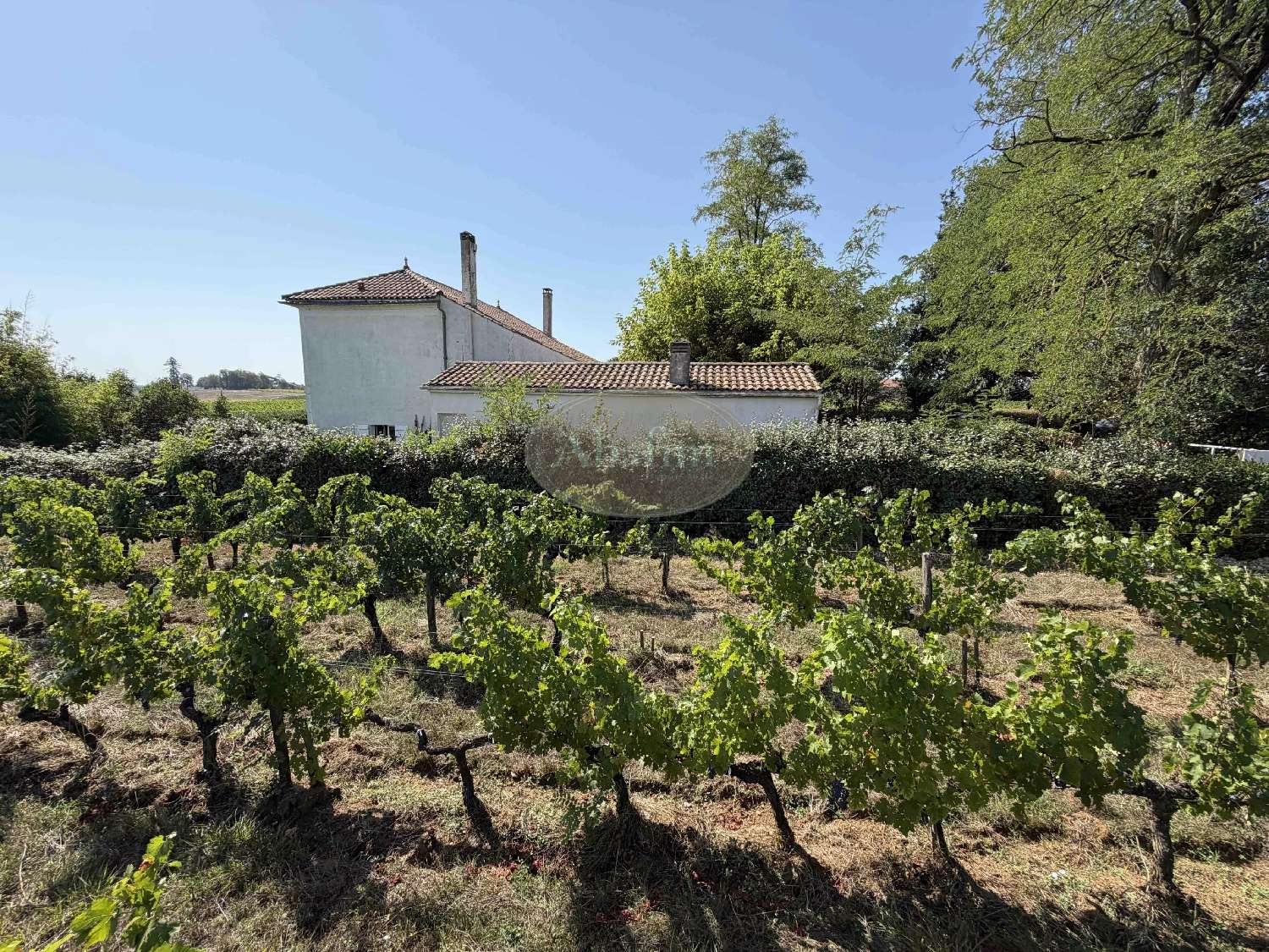  for sale house Ordonnac Gironde 7
