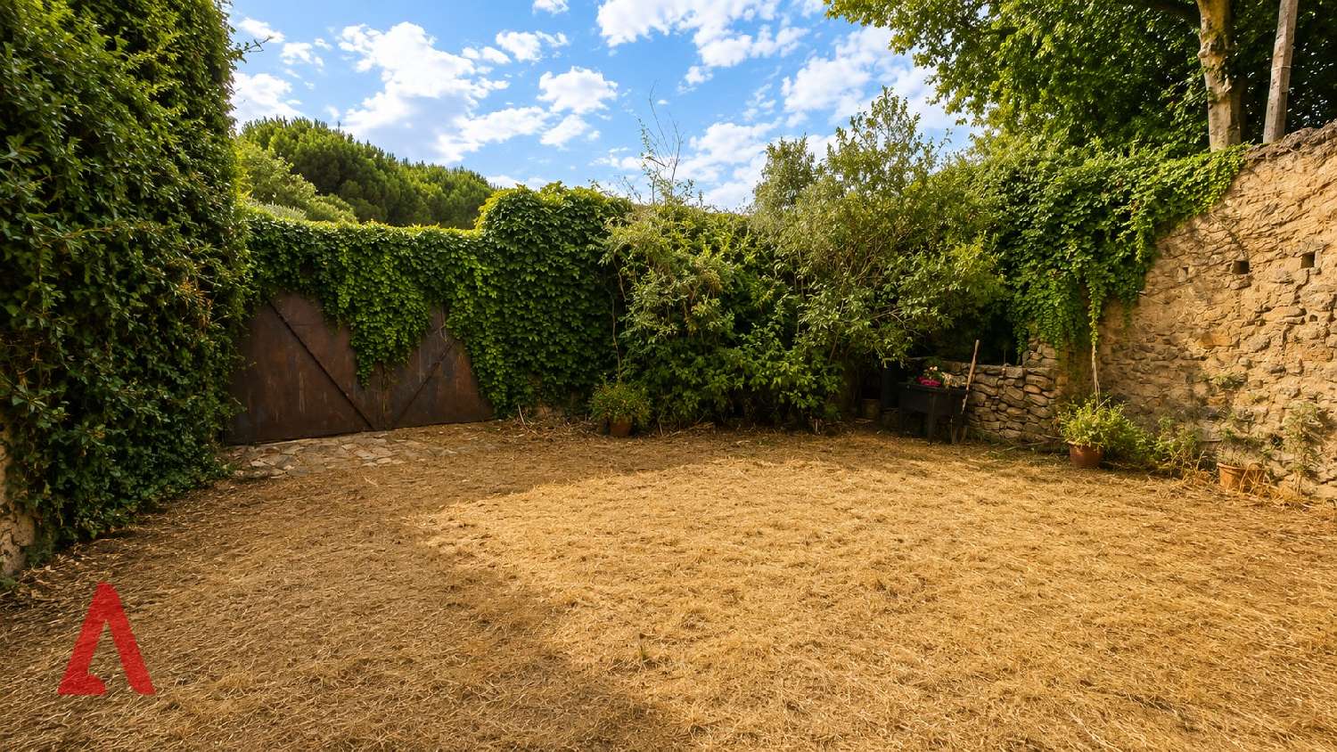 à vendre maison Palaja Aude 4