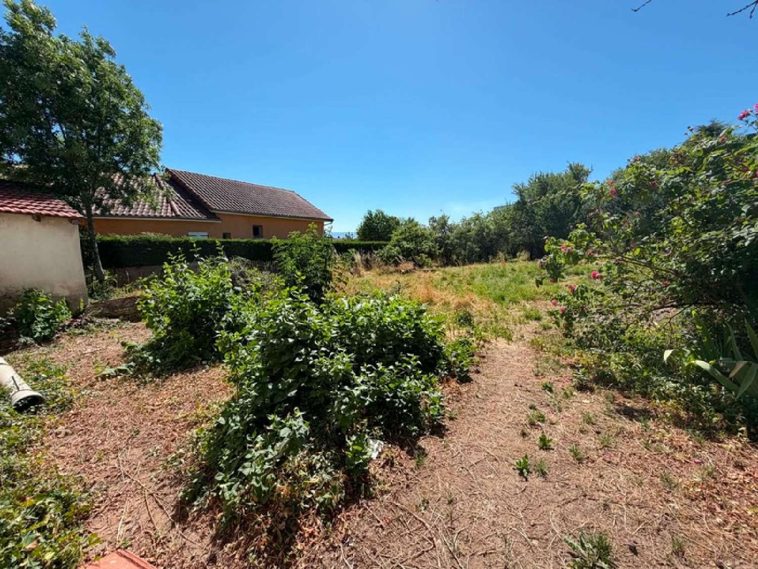  for sale house Panissières Loire 3