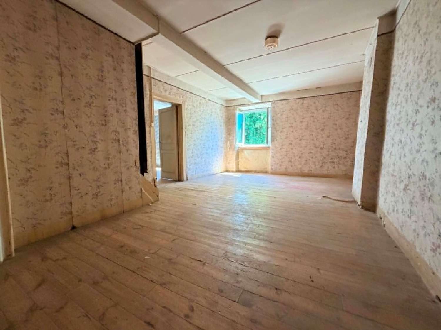for sale house Panissières Loire 5