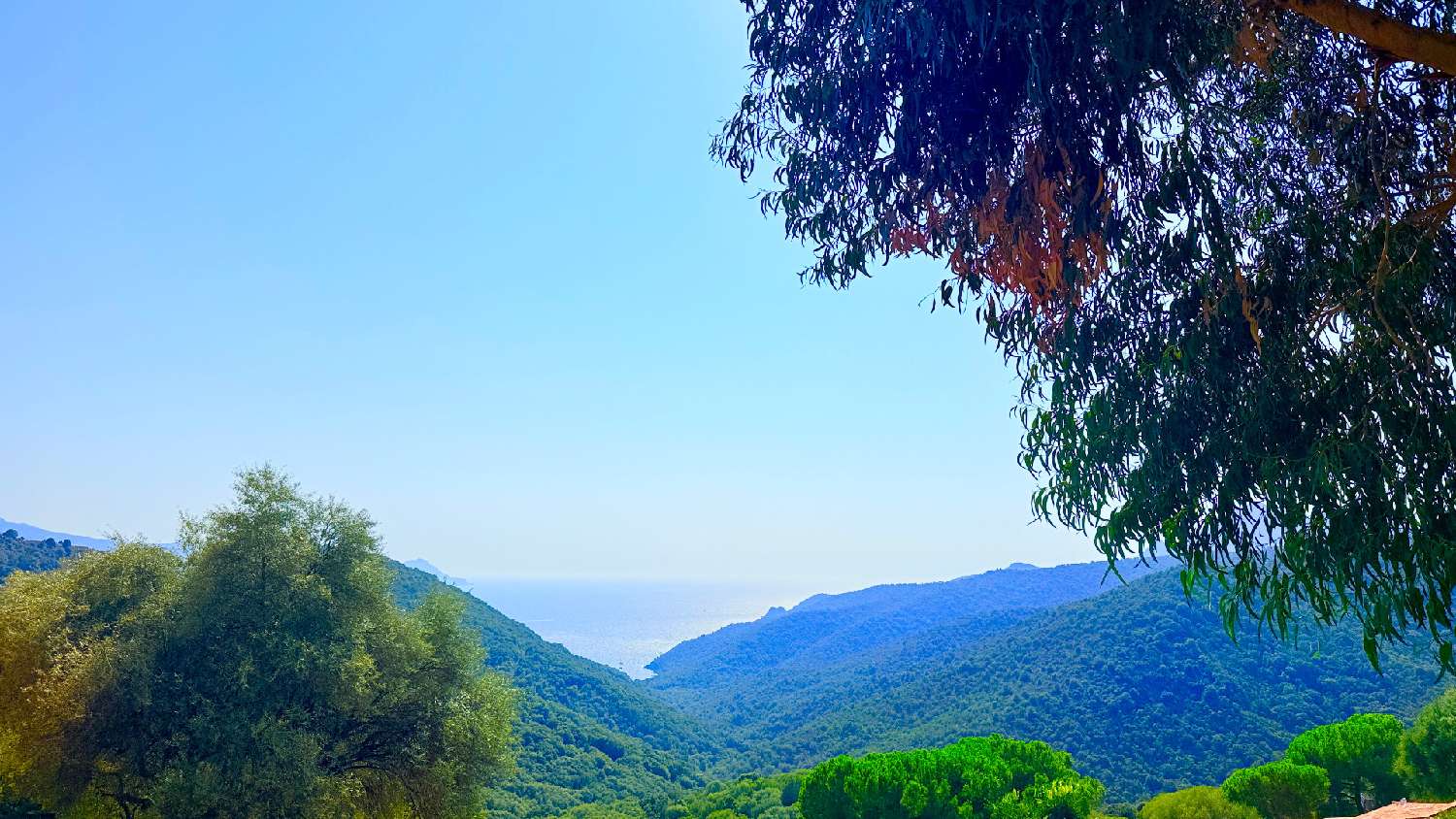kaufen Haus Partinello Corse-du-Sud 2