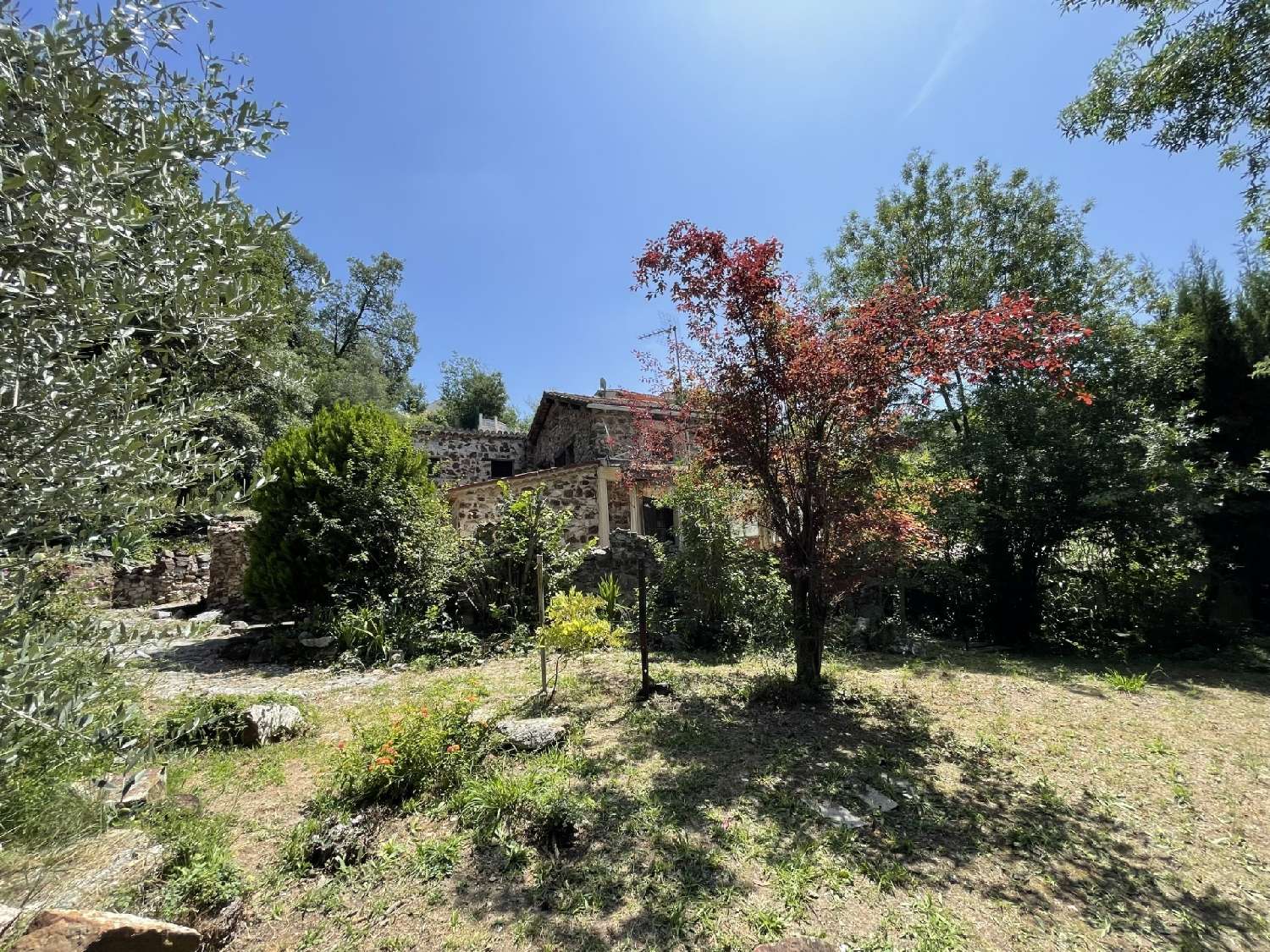 à vendre maison Pégomas Alpes-Maritimes 3