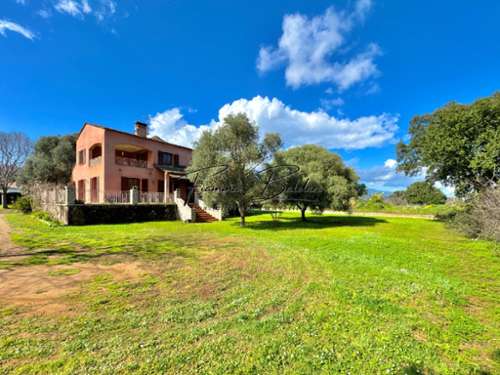 Penta-di-Casinca Haute-Corse Haus Bild 7384070