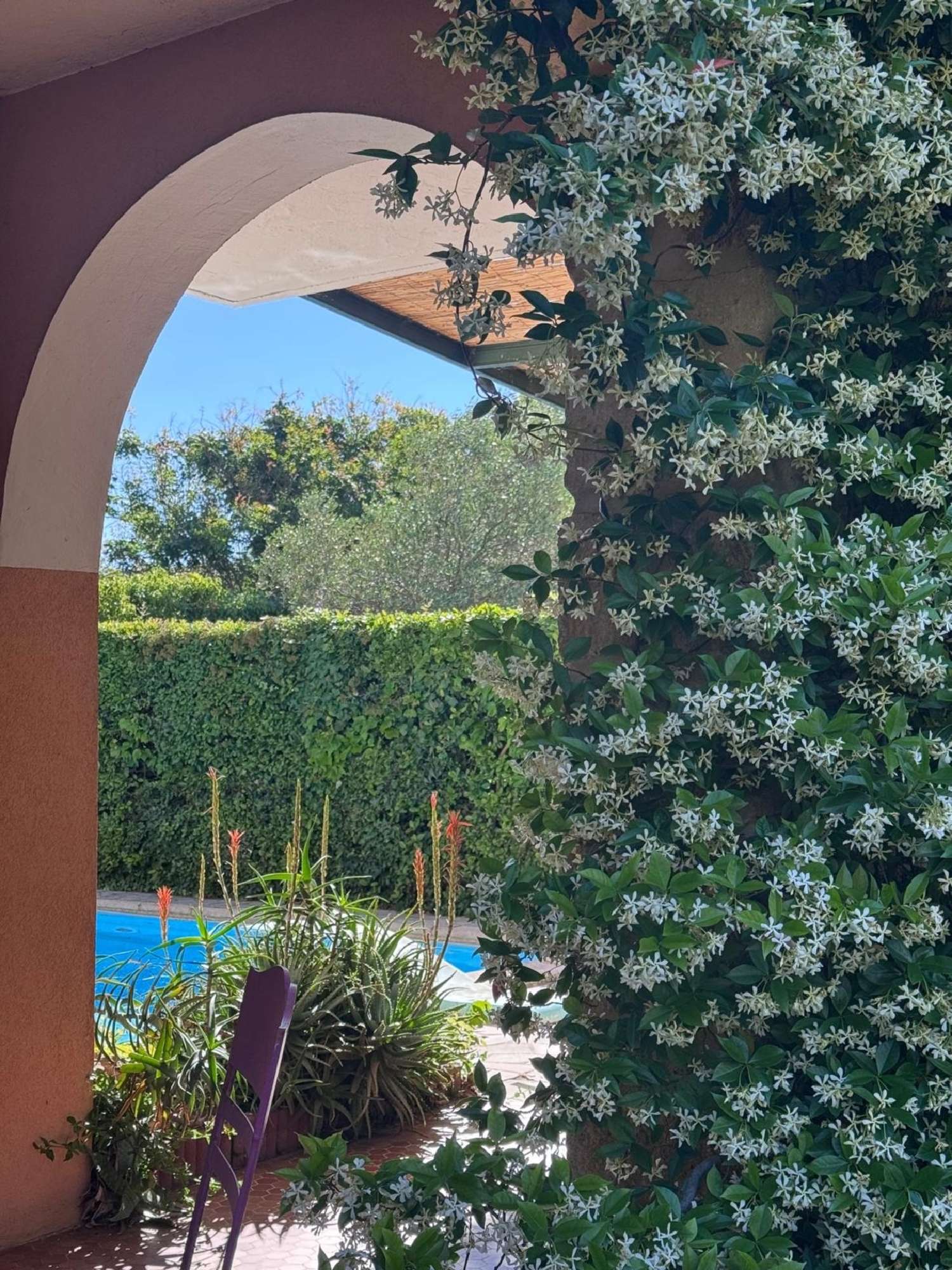à vendre maison Pérols Hérault 7