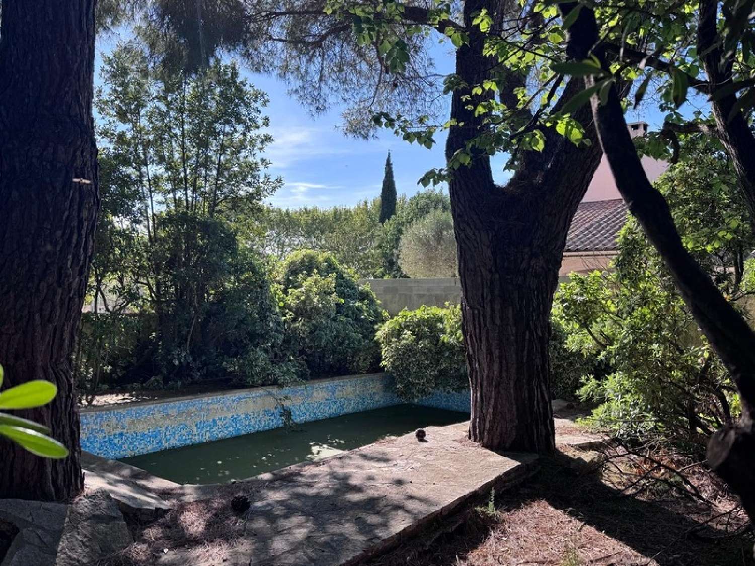 à vendre maison Pérols Hérault 3