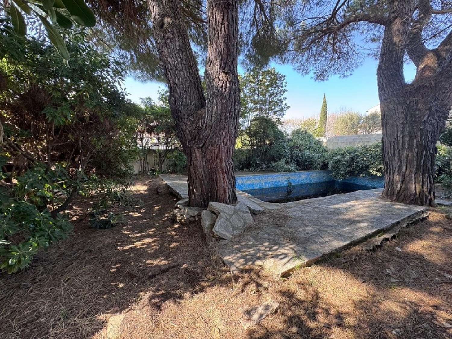  à vendre maison Pérols Hérault 6