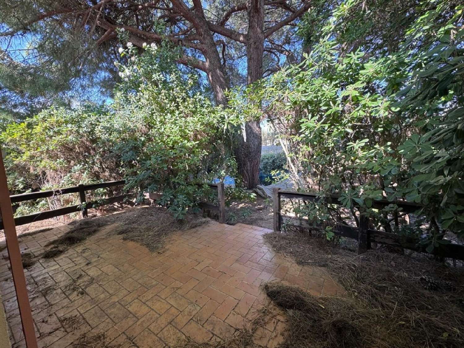  à vendre maison Pérols Hérault 7
