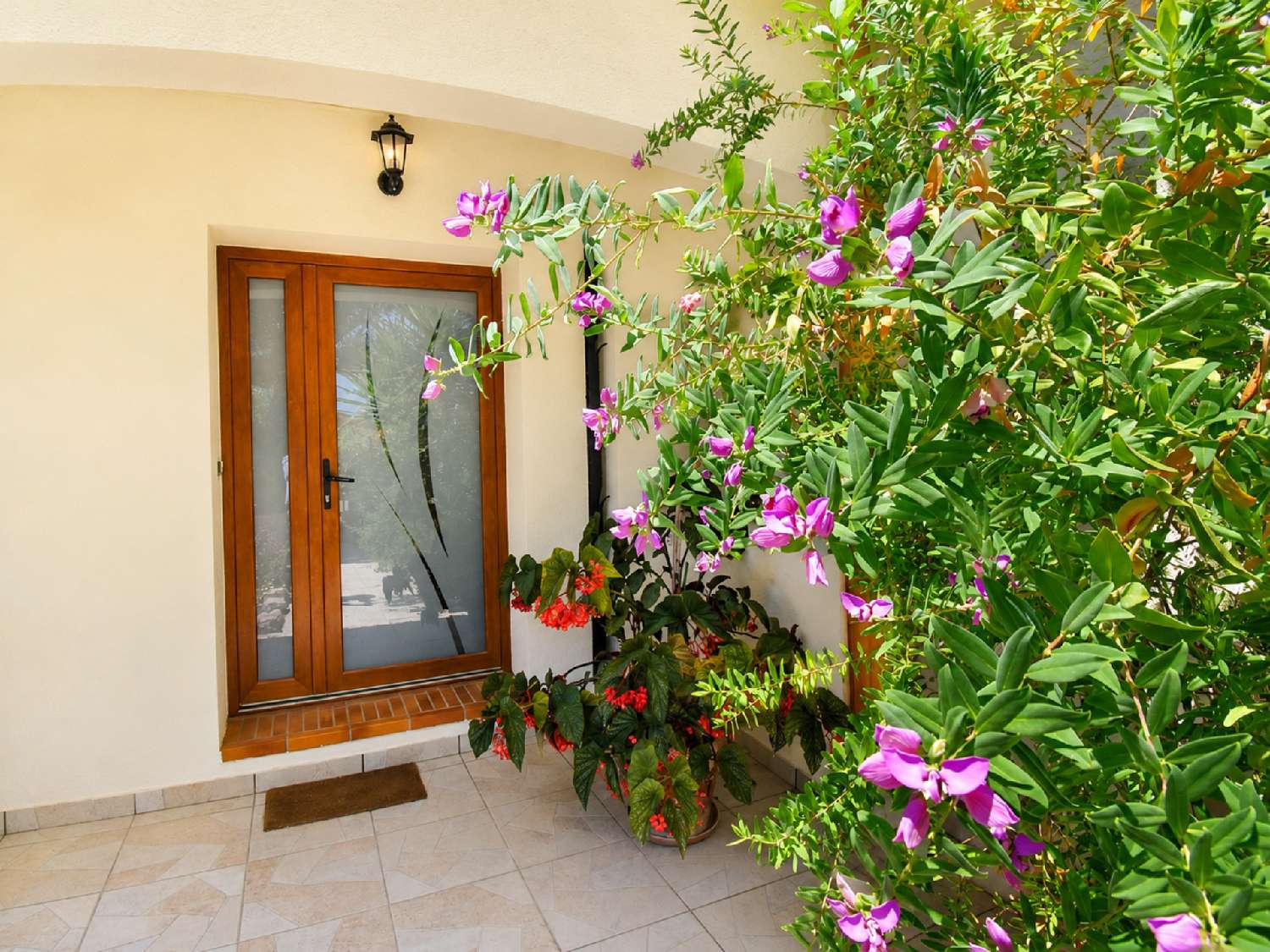  à vendre maison Perpignan Pyrénées-Orientales 6