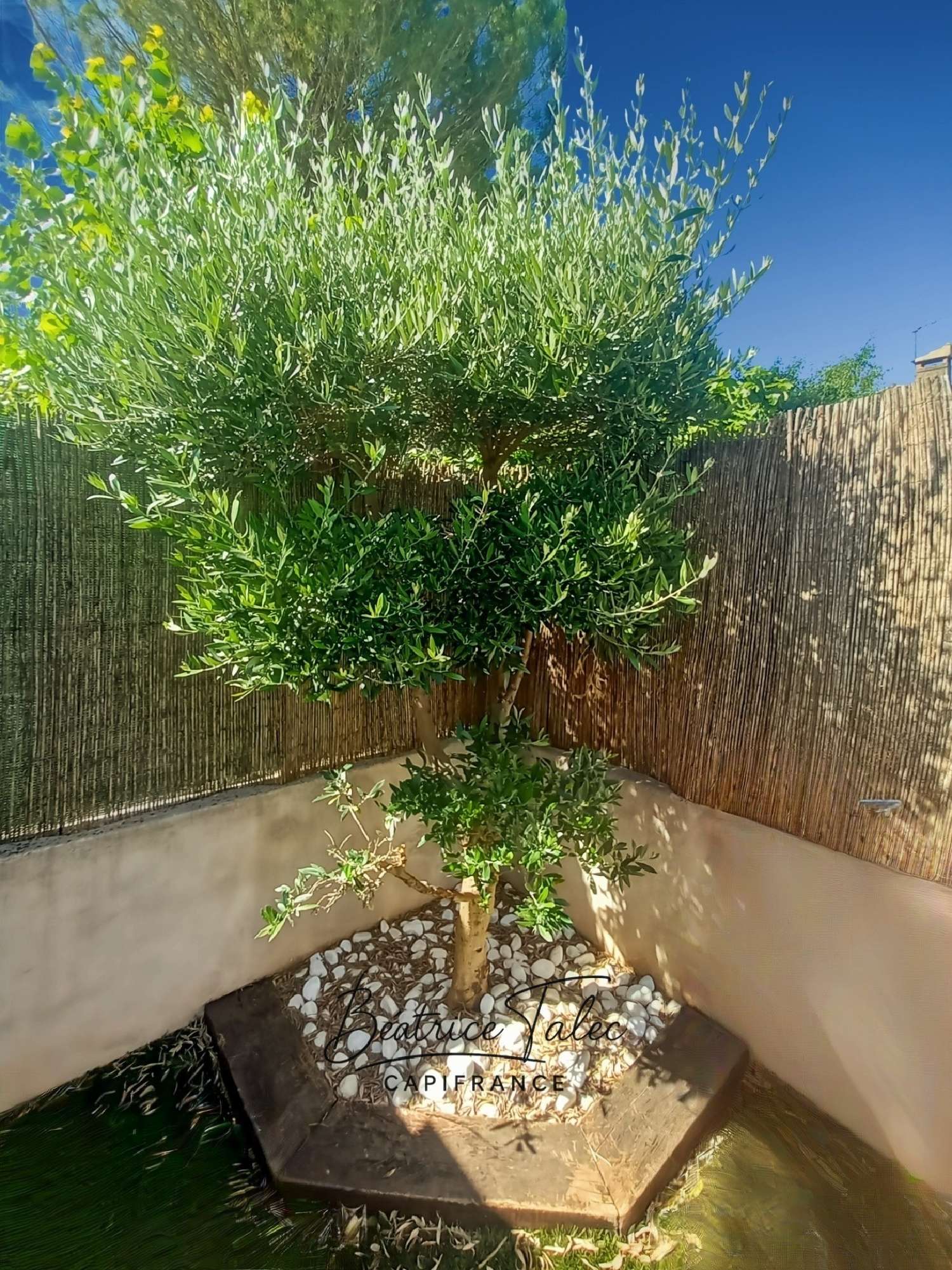 for sale house Peynier Bouches-du-Rhône 6
