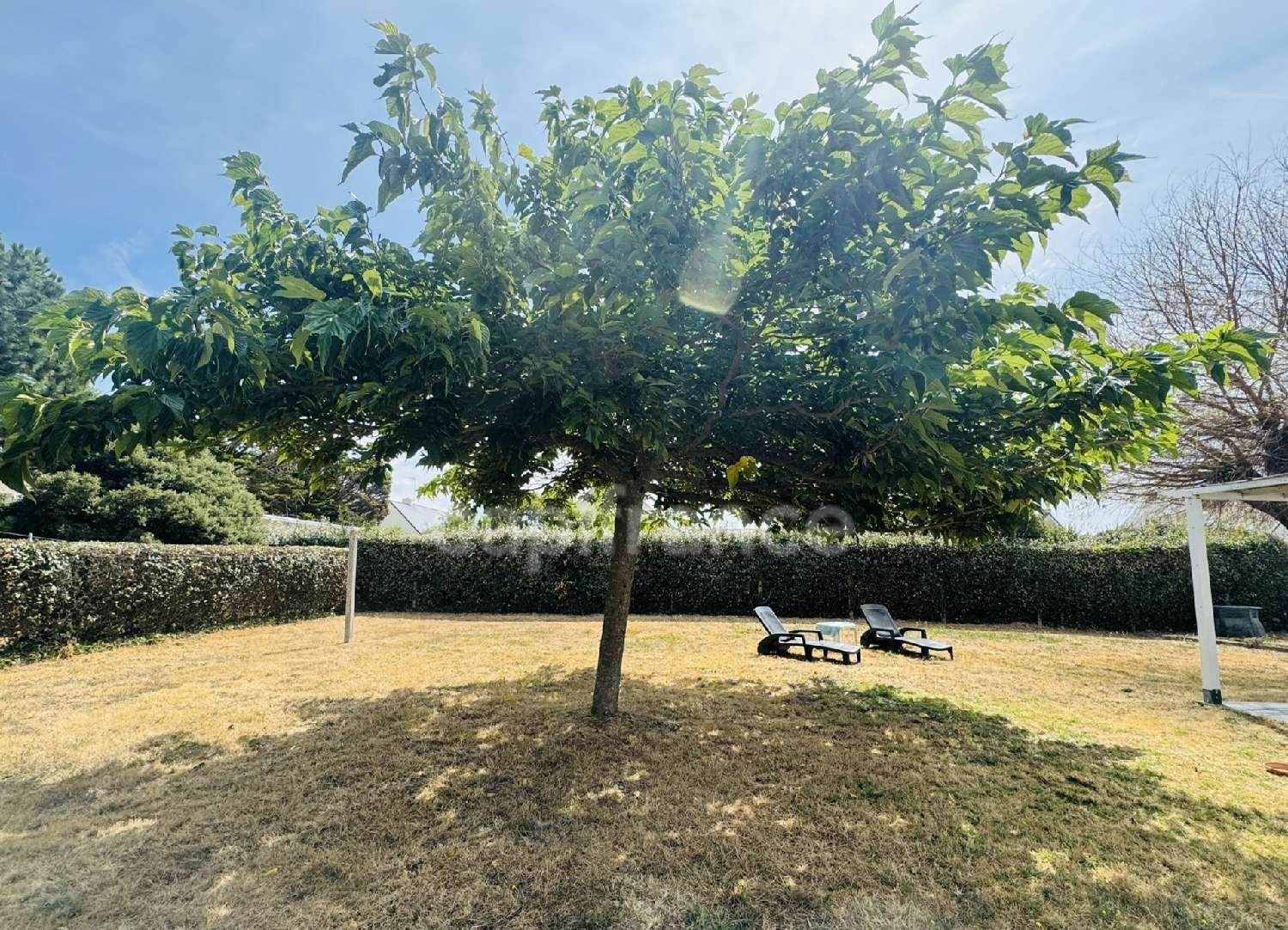 kaufen Haus Piriac-sur-Mer Loire-Atlantique 2