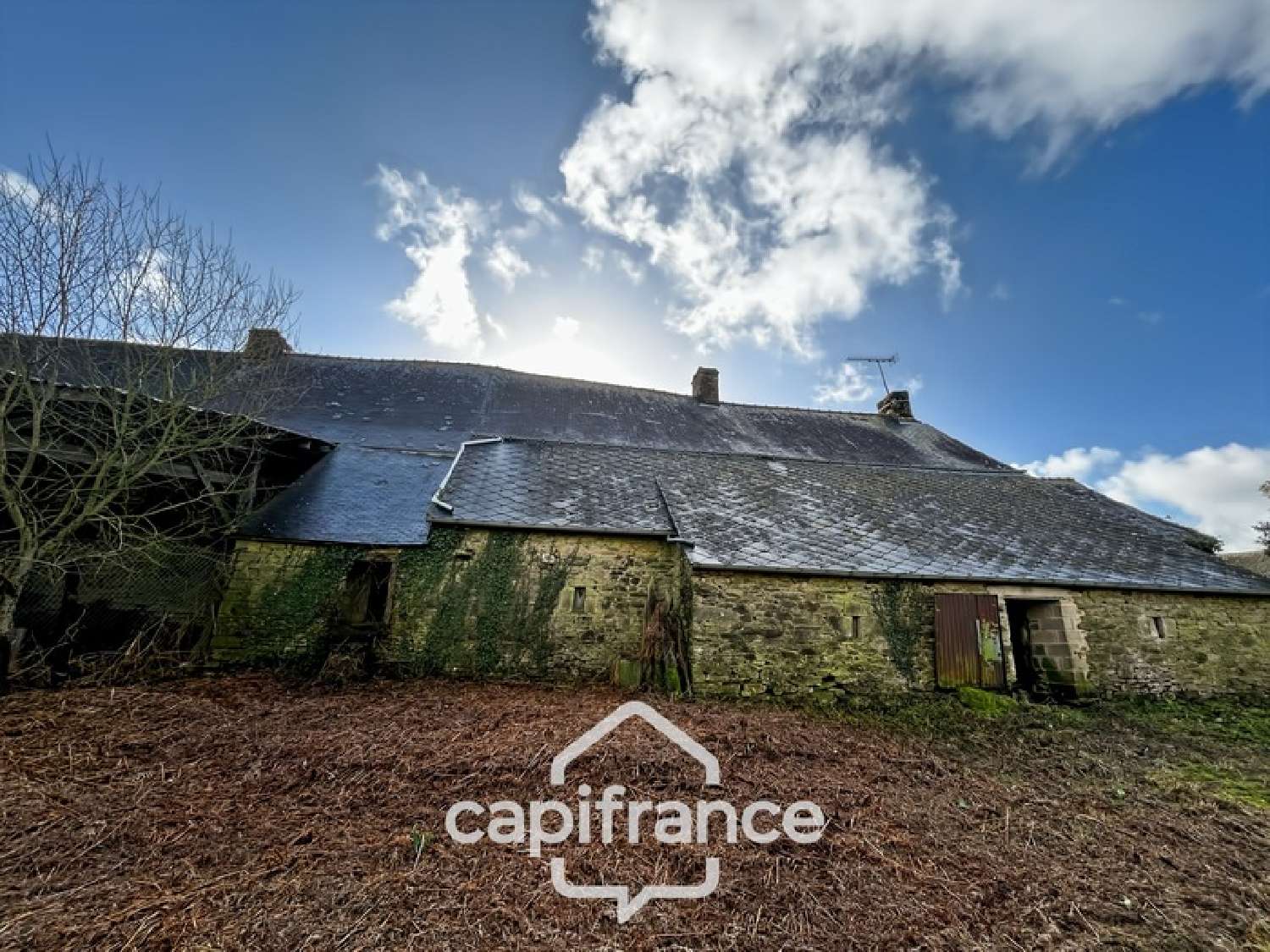  à vendre maison Plémet Côtes-d'Armor 4
