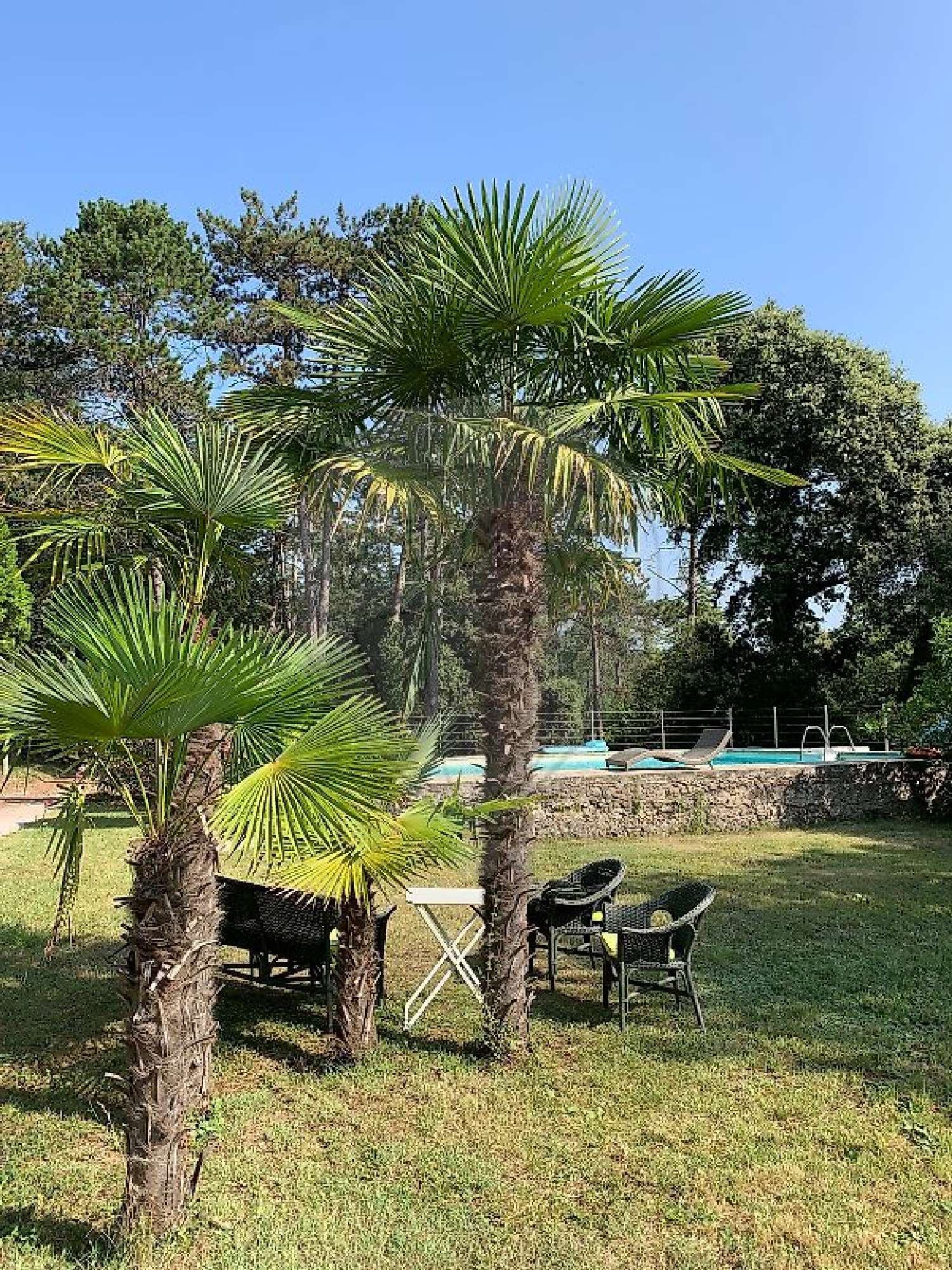  à vendre maison Pompignan Gard 6