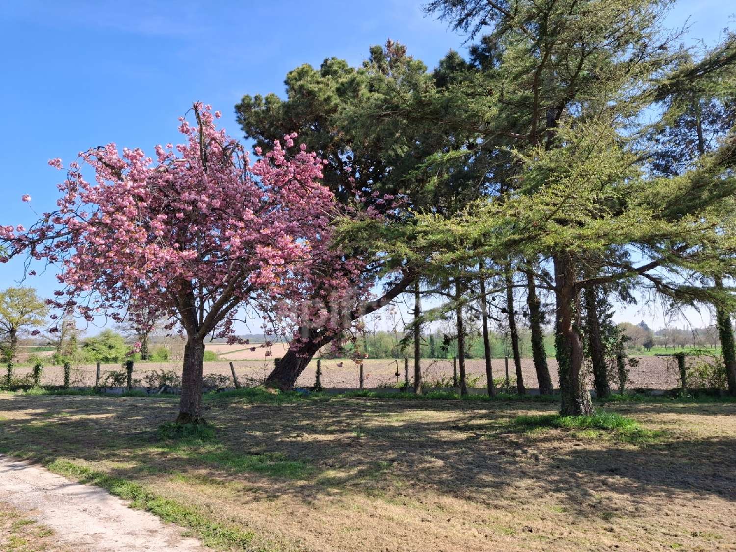  for sale house Pontorson Manche 5