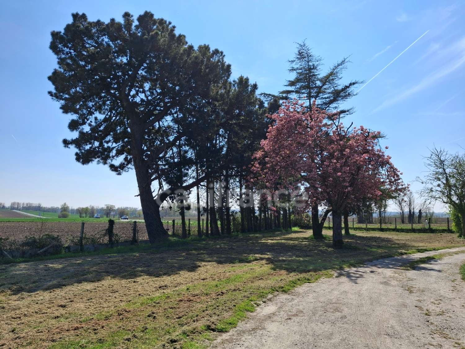  for sale house Pontorson Manche 6