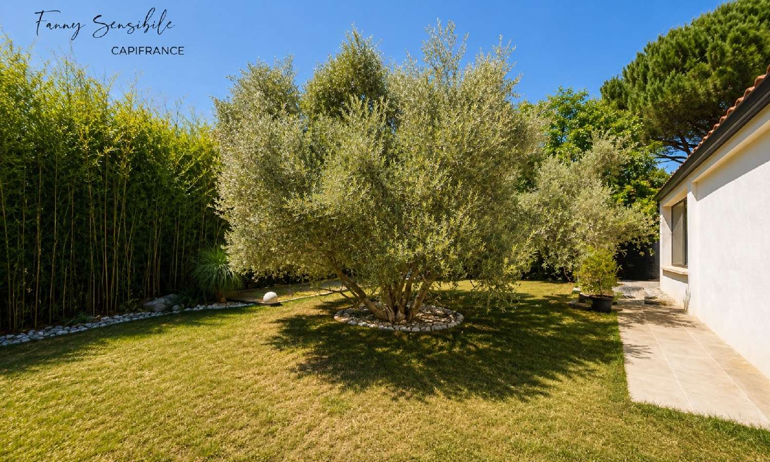  à vendre maison Pourrières Var 5