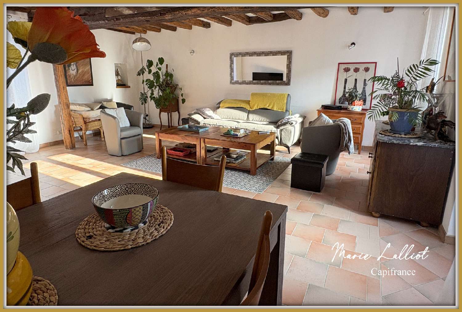 for sale house Puiseaux Loiret 2