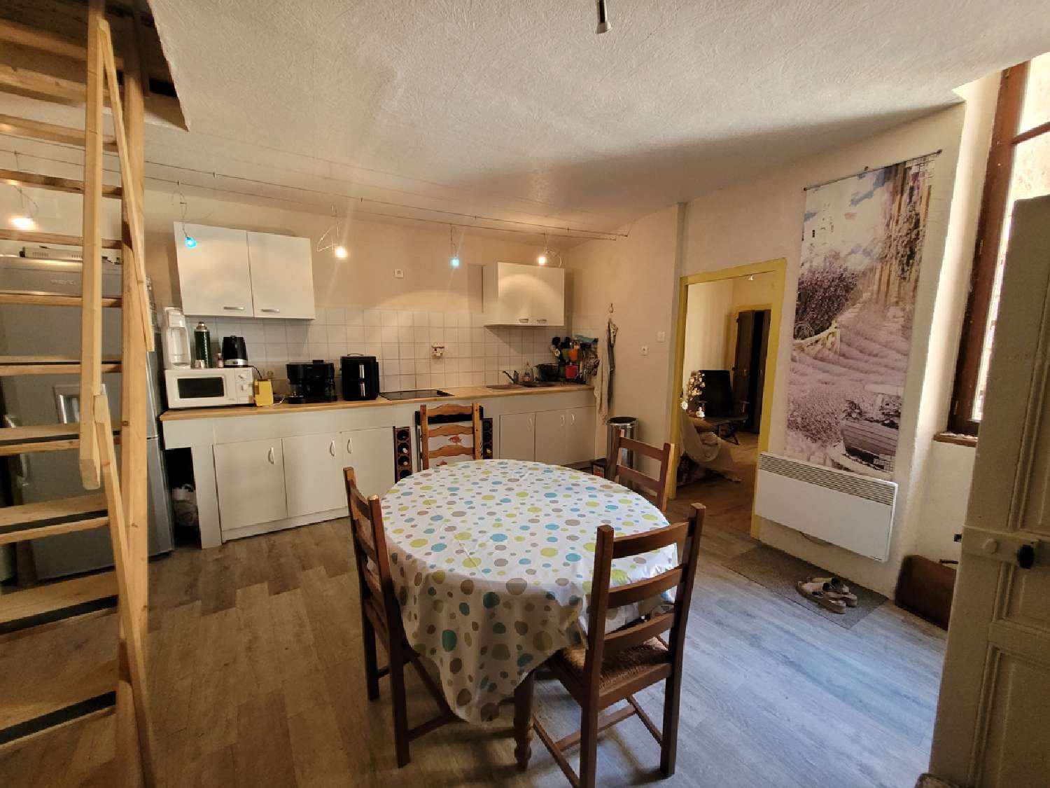  te koop huis Puissalicon Hérault 4