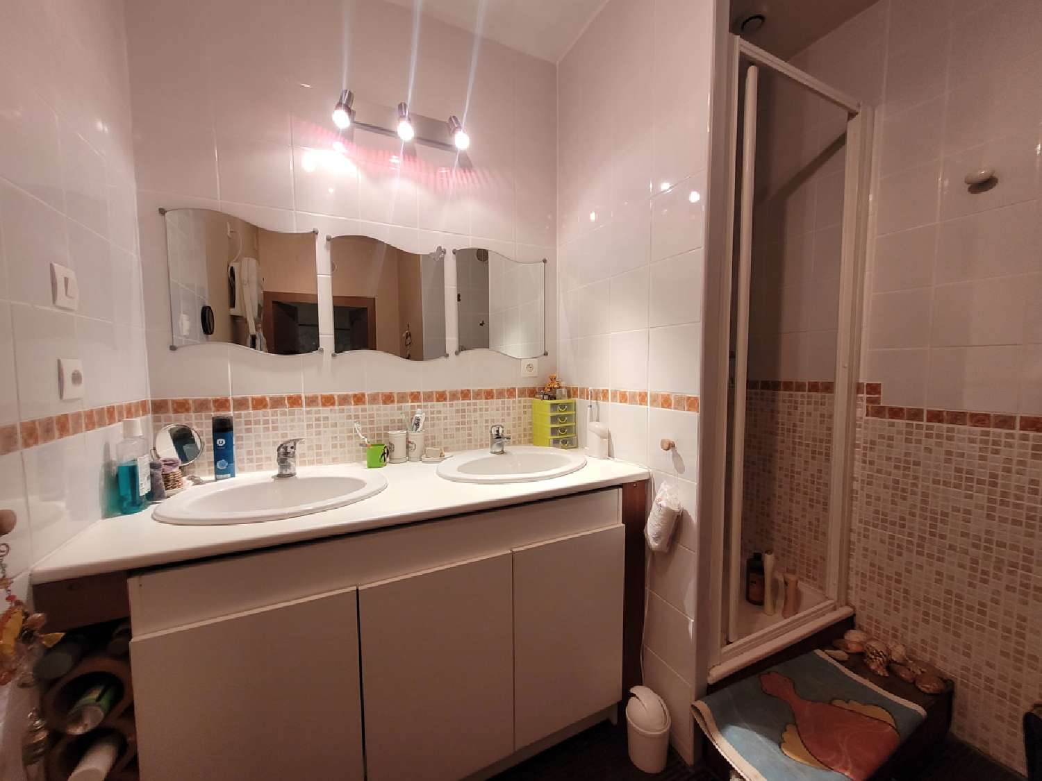 te koop huis Puissalicon Hérault 6