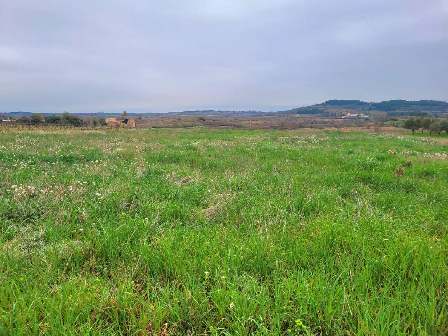  te koop huis Puissalicon Hérault 5
