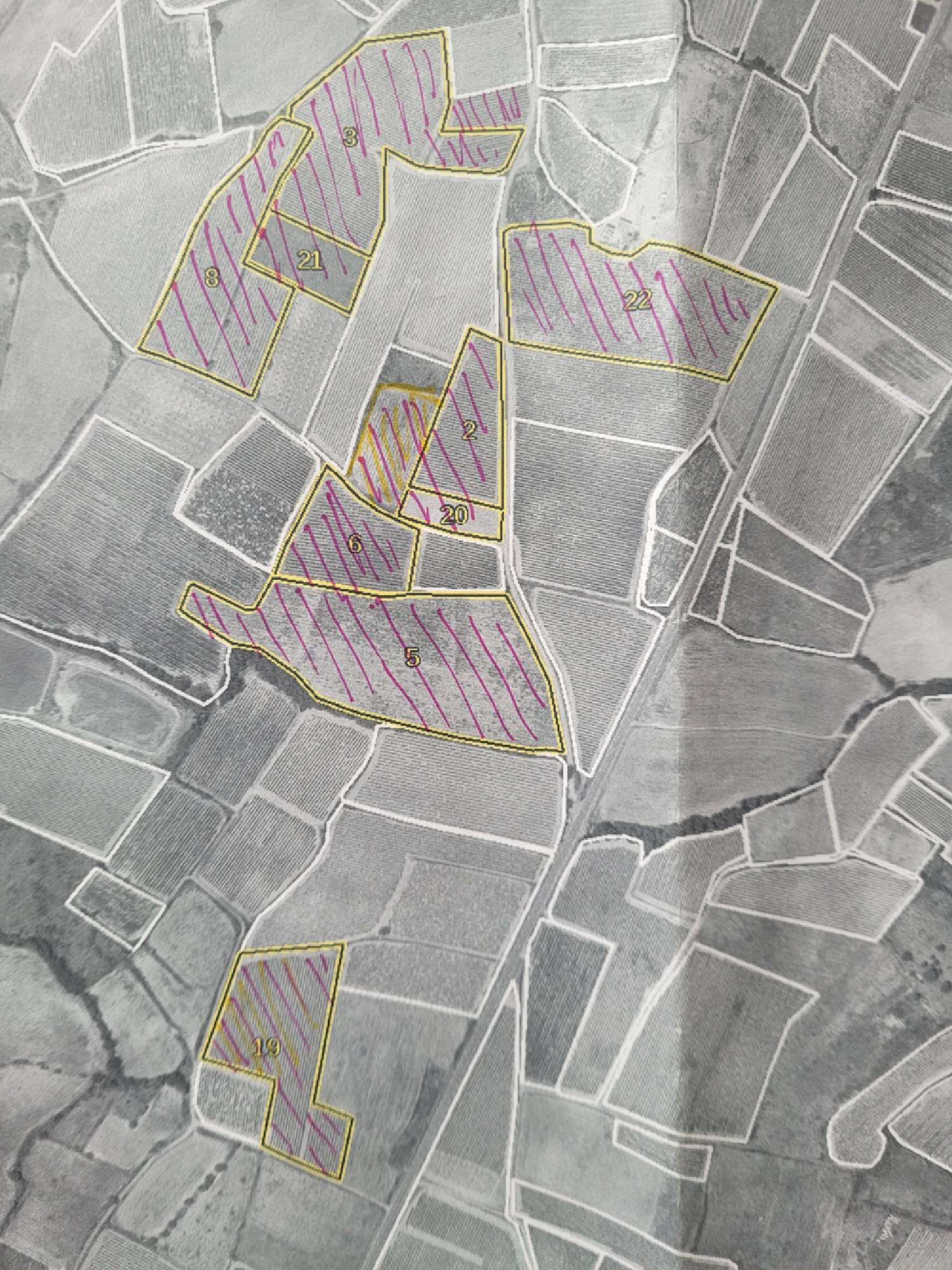  te koop huis Puissalicon Hérault 6