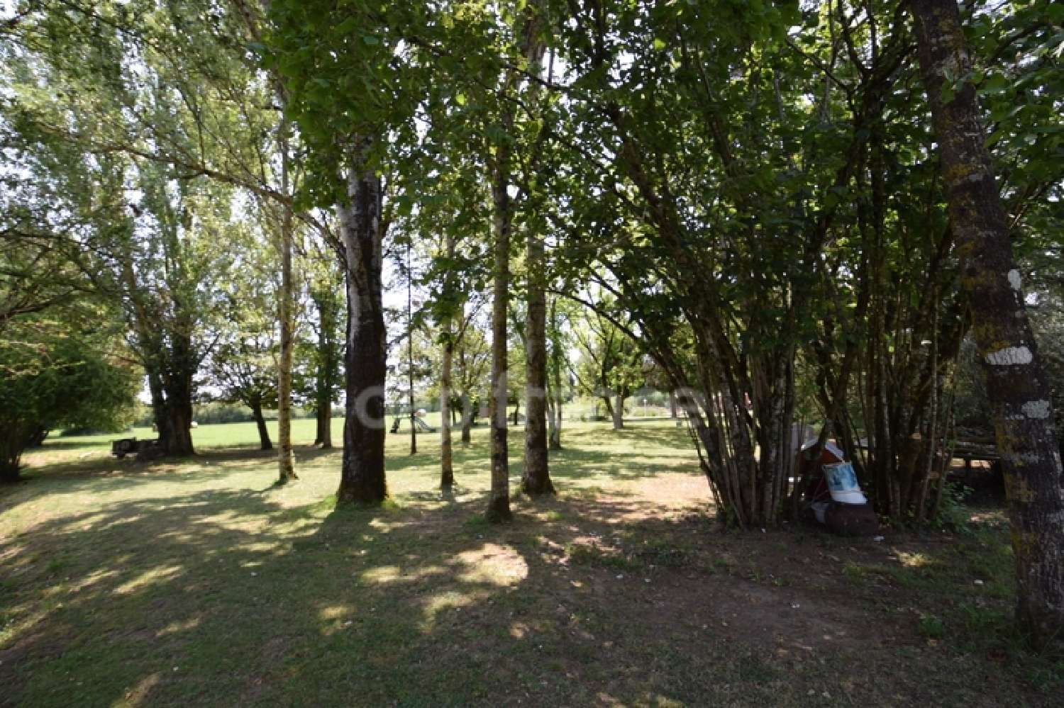 for sale house Puymiclan Lot-et-Garonne 5