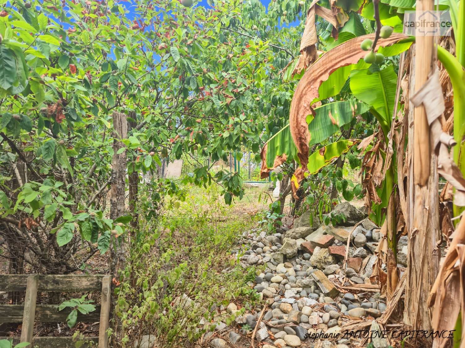 en venta casa Puyoô Pirineos Atlánticos 6
