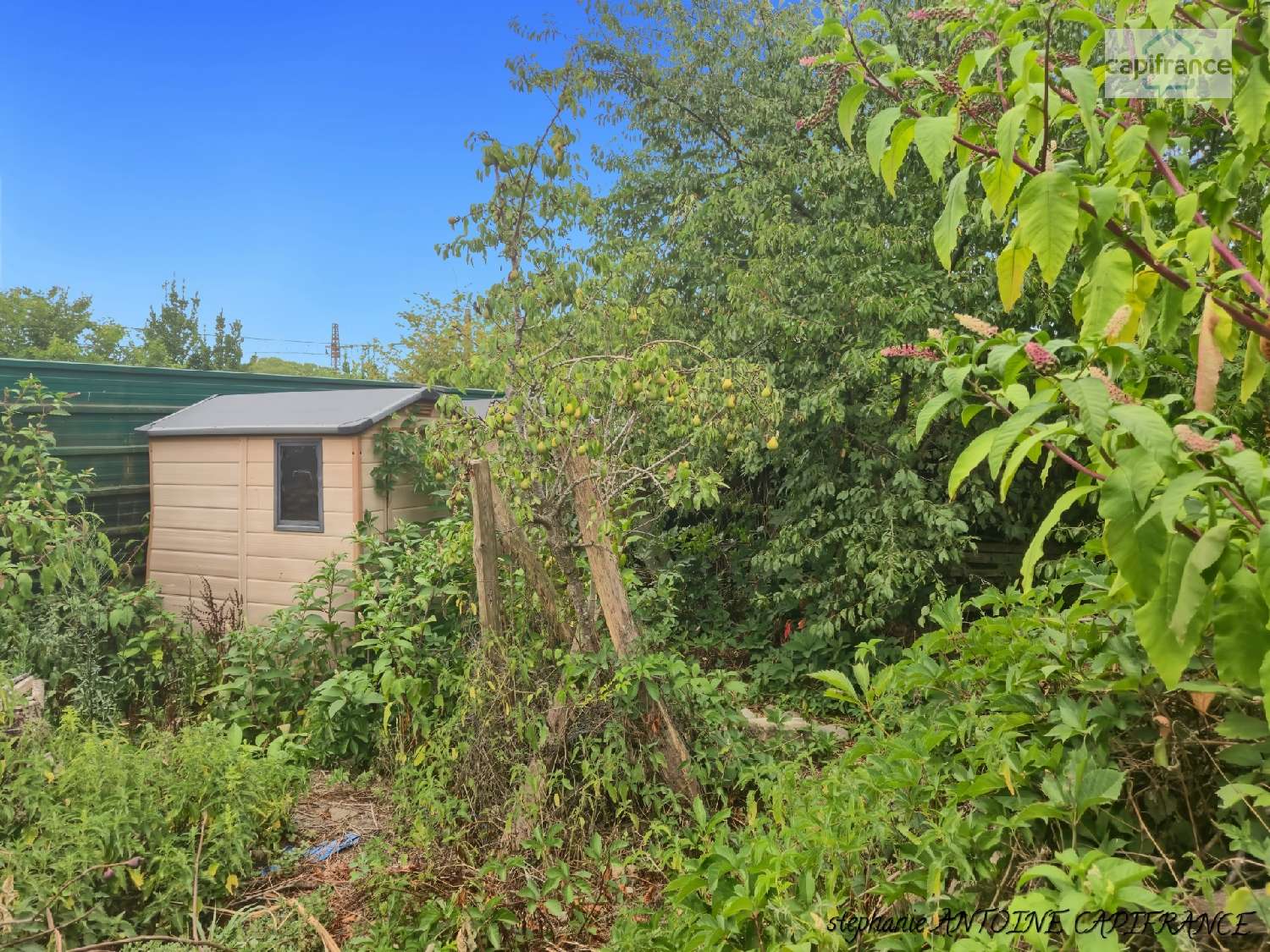 en venta casa Puyoô Pirineos Atlánticos 7
