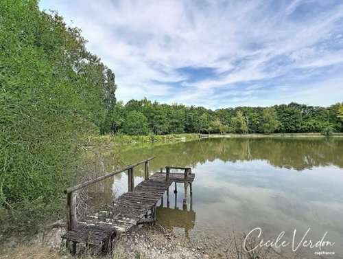 Razac-de-Saussignac Dordogne Haus Bild 7384094