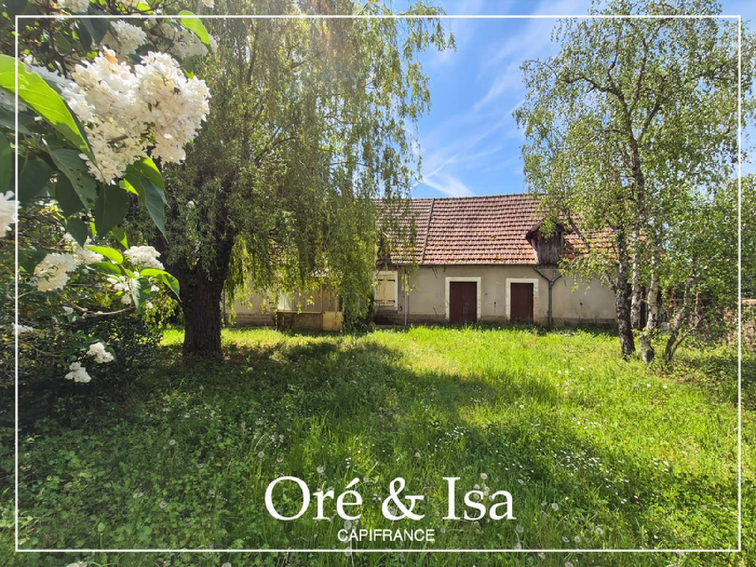 à vendre maison Reigny Cher 1