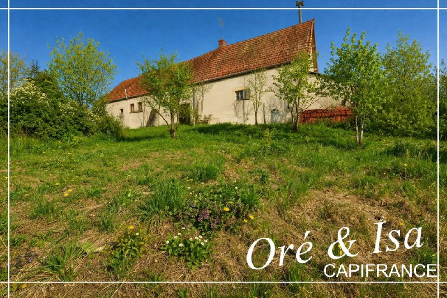 à vendre maison Reigny Cher 3
