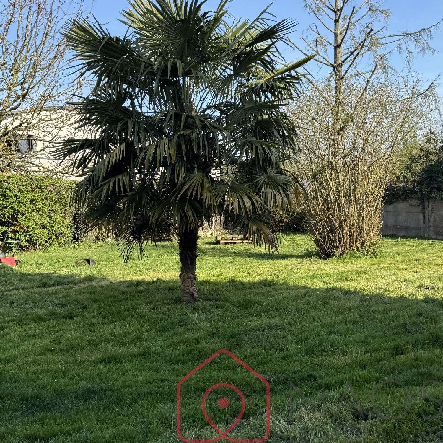  for sale house Retiers Ille-et-Vilaine 2