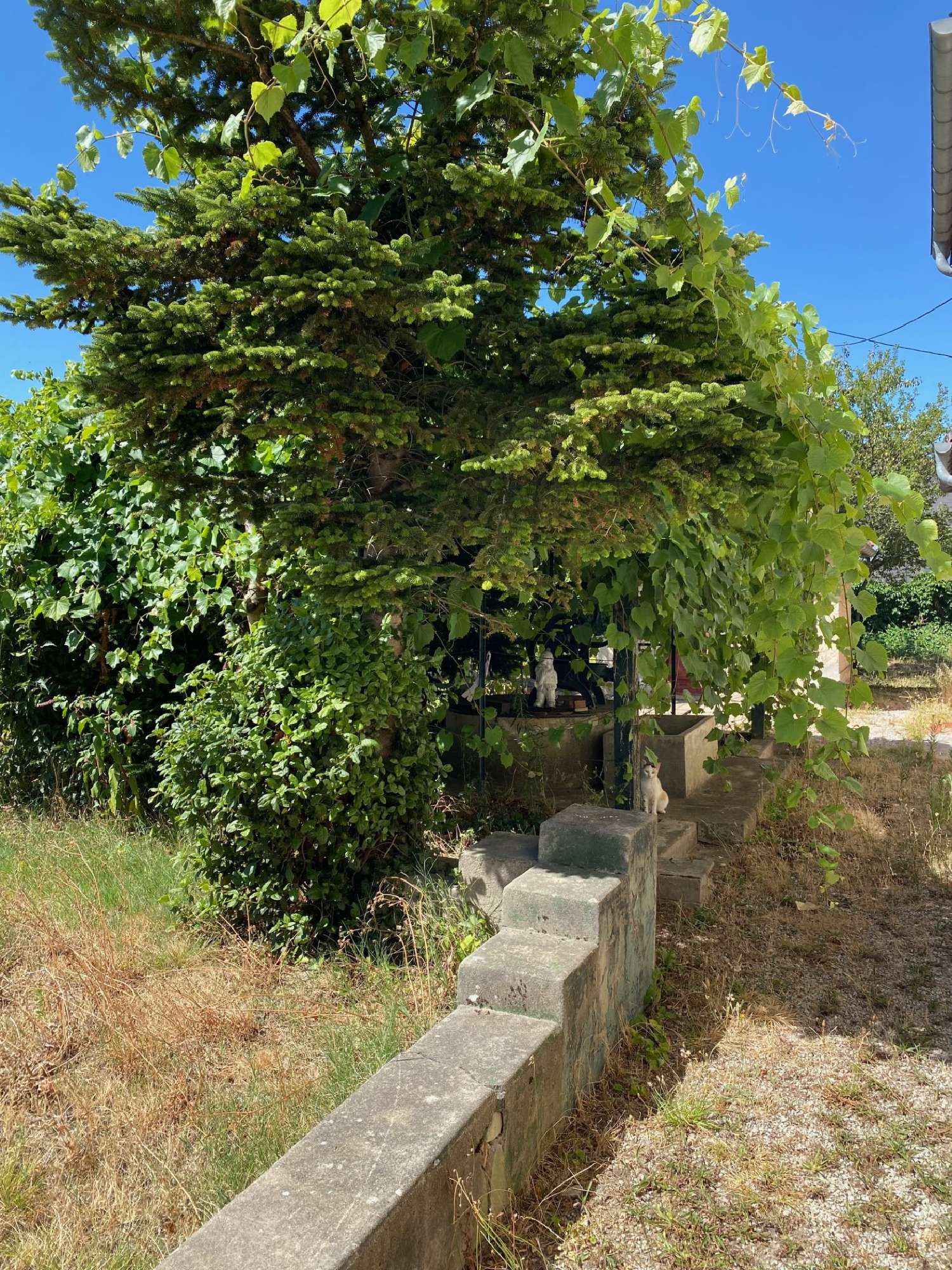 for sale house Revel Haute-Garonne 2