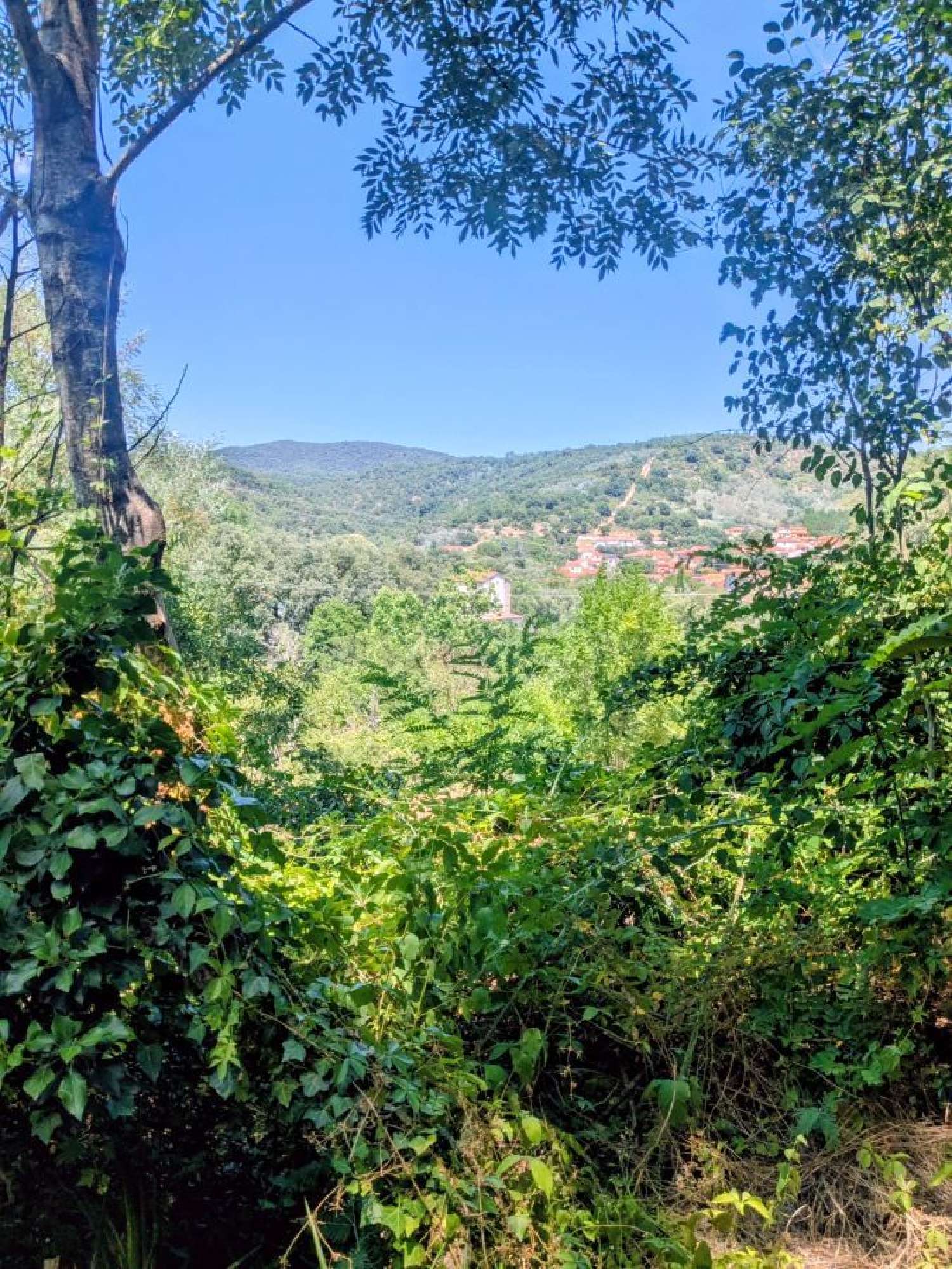  kaufen Haus Reynès Pyrénées-Orientales 1
