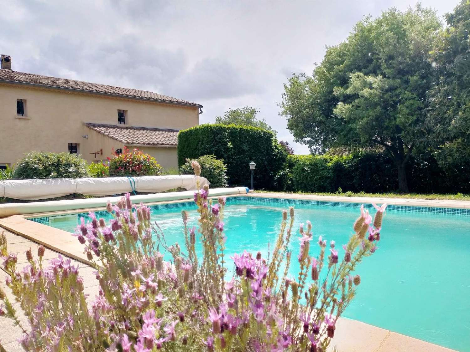 for sale house Richerenches Vaucluse 2