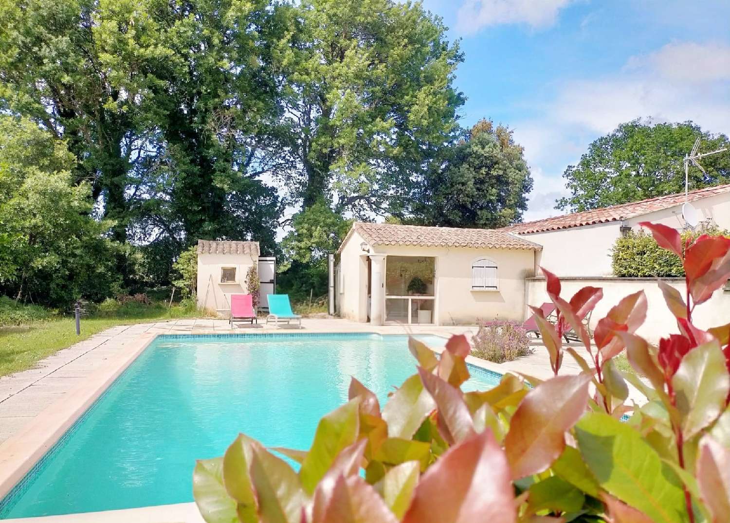 for sale house Richerenches Vaucluse 3