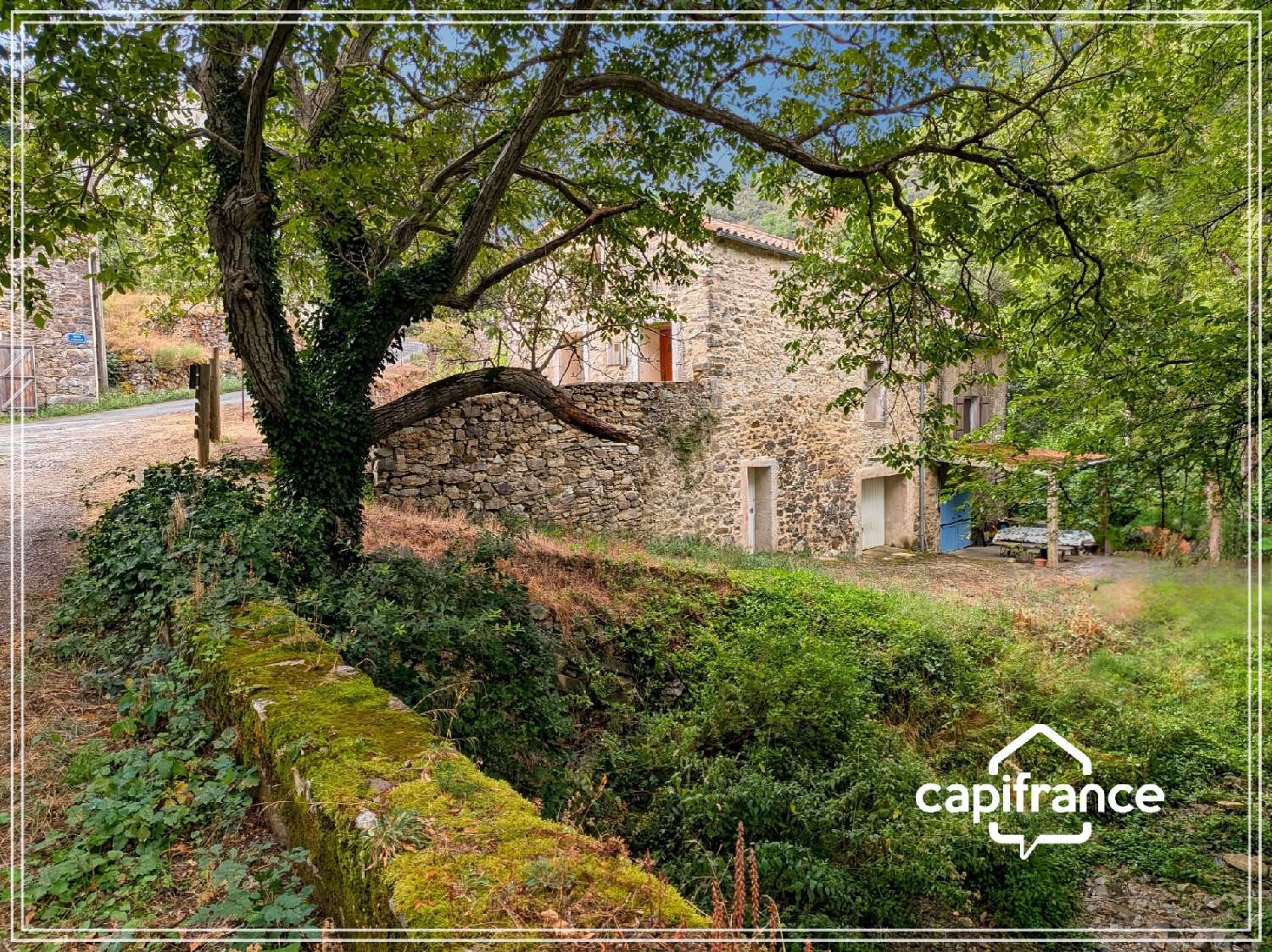  à vendre maison Riols Hérault 5