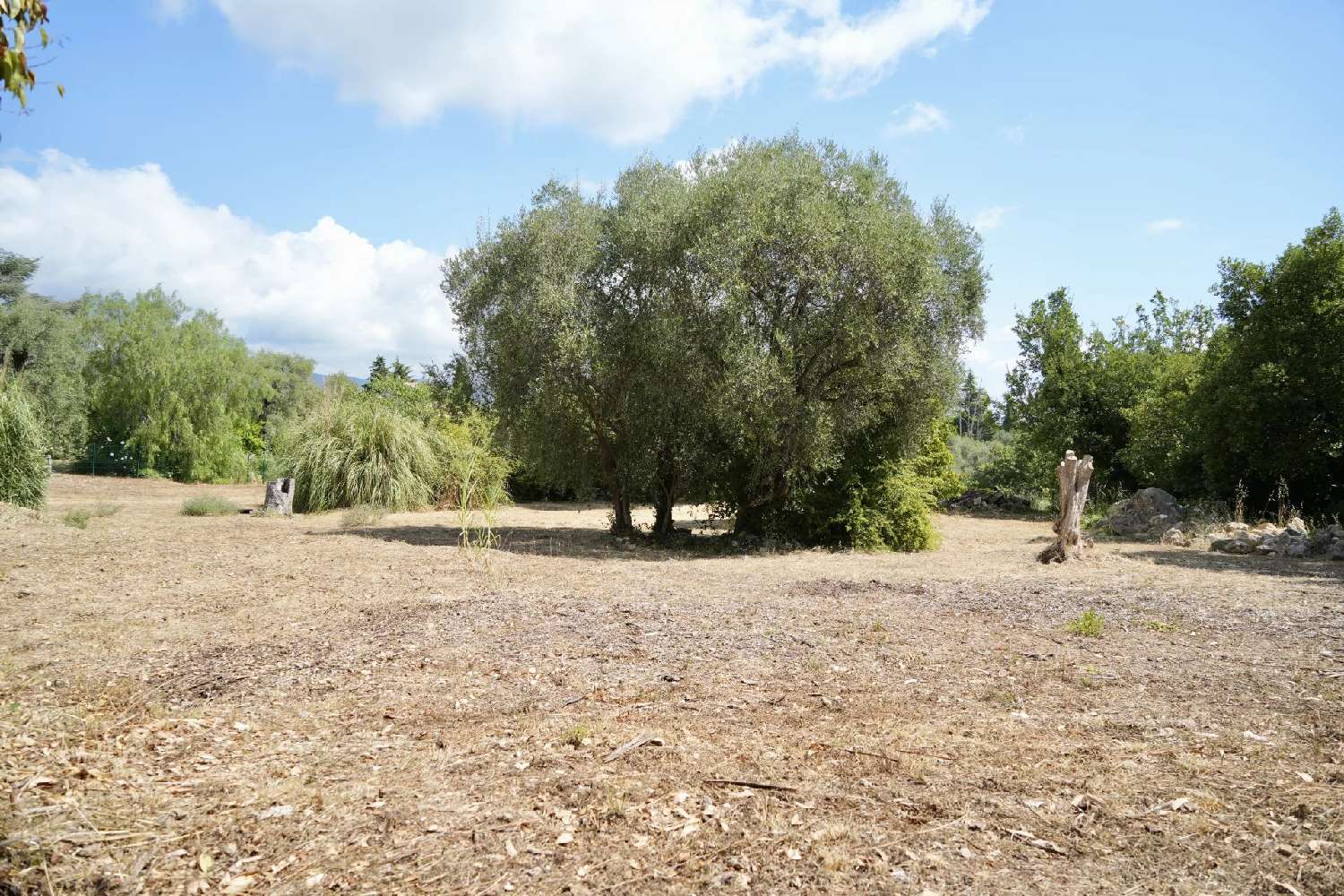  te koop huis Roquefort-les-pins Alpes-Maritimes 1