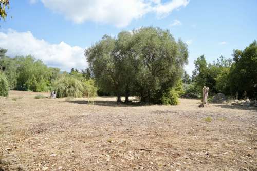 Roquefort-les-pins Alpes-Maritimes huis foto 7394296