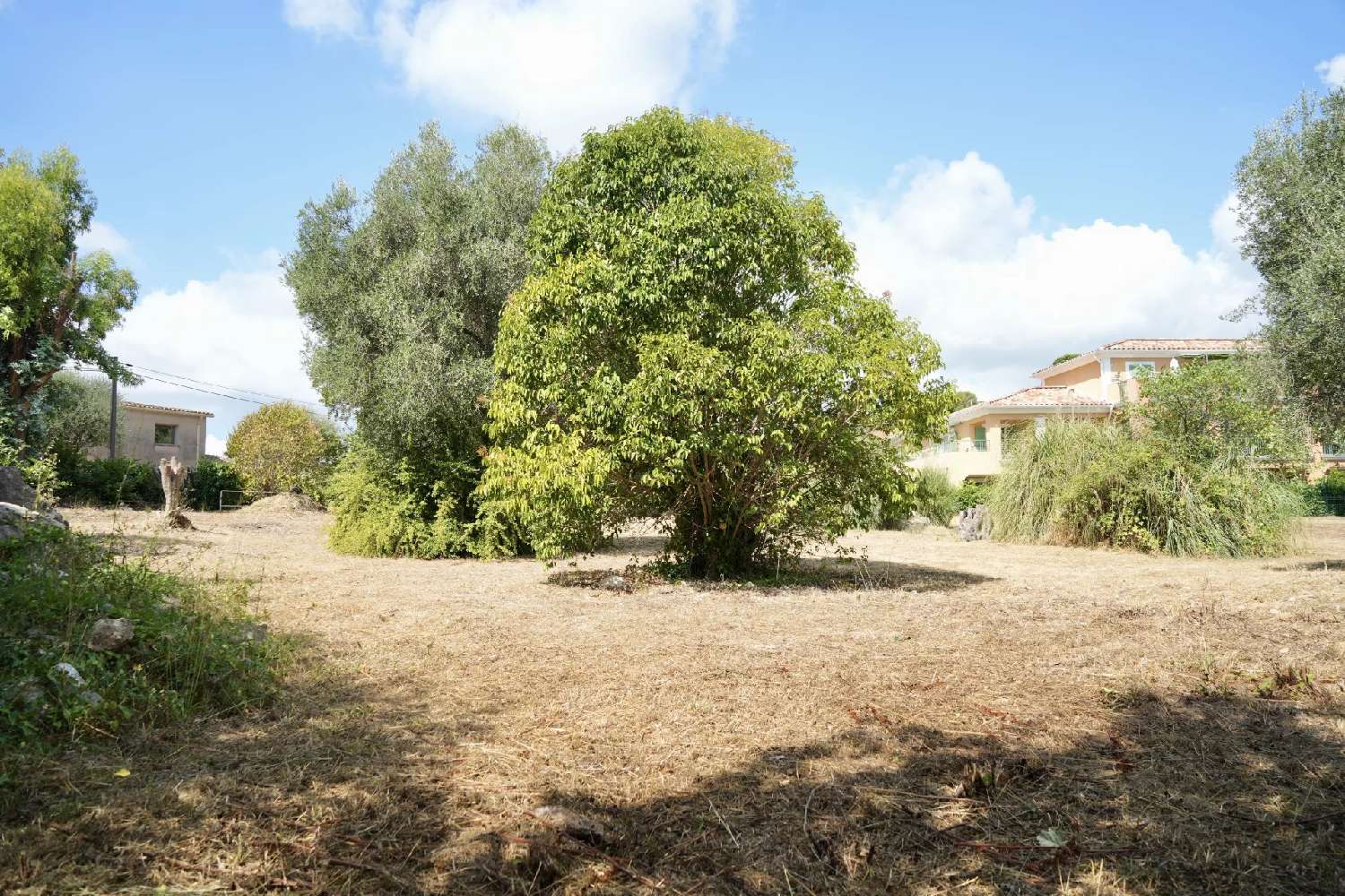  te koop huis Roquefort-les-pins Alpes-Maritimes 7