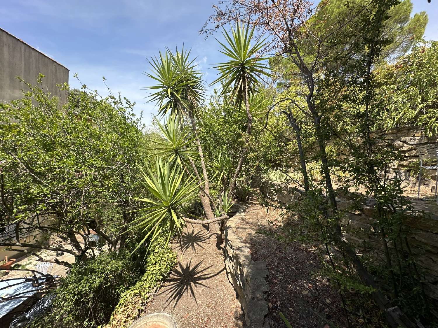  à vendre maison Roujan Hérault 2