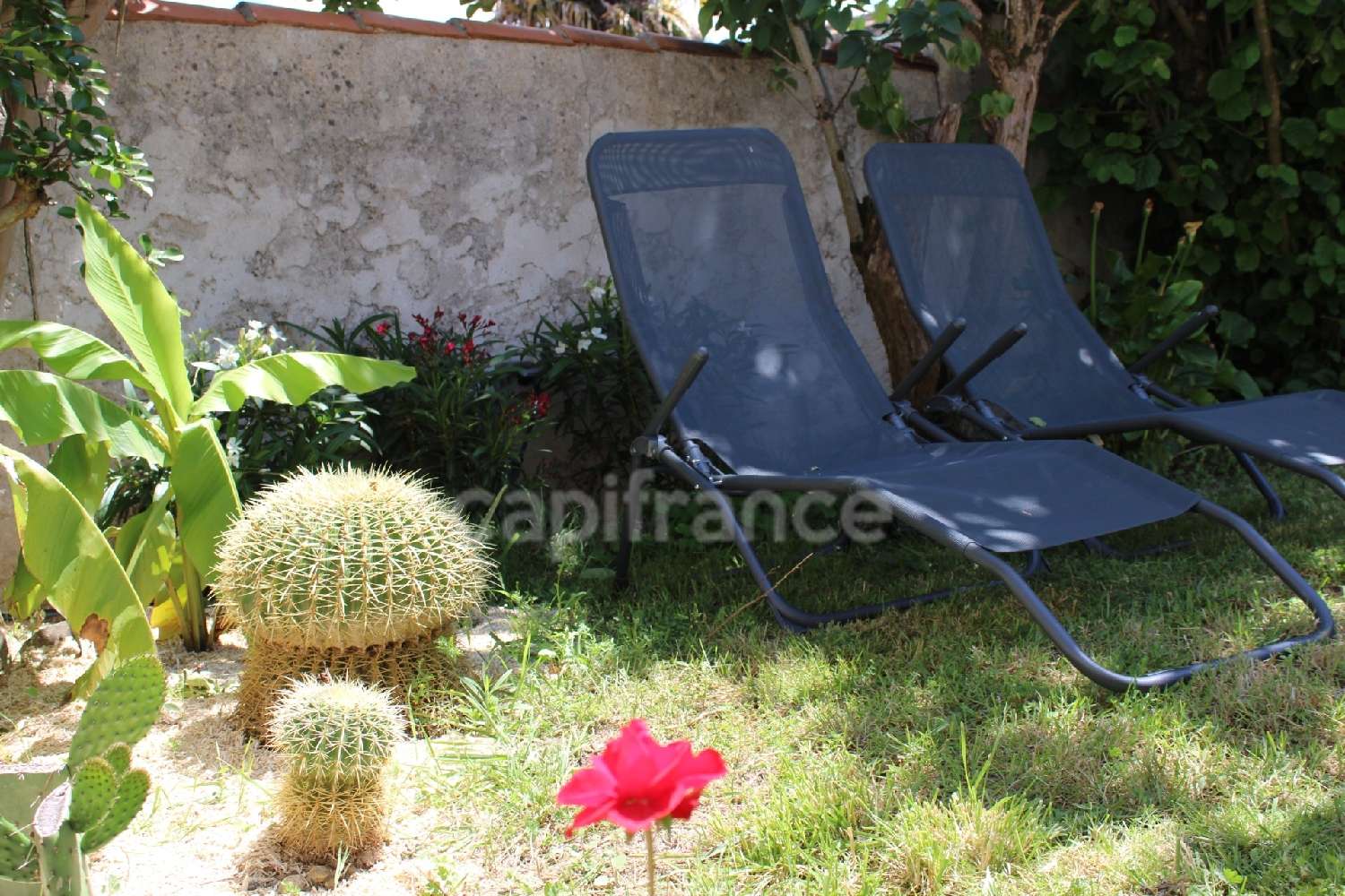 kaufen Haus Royan Charente-Maritime 5