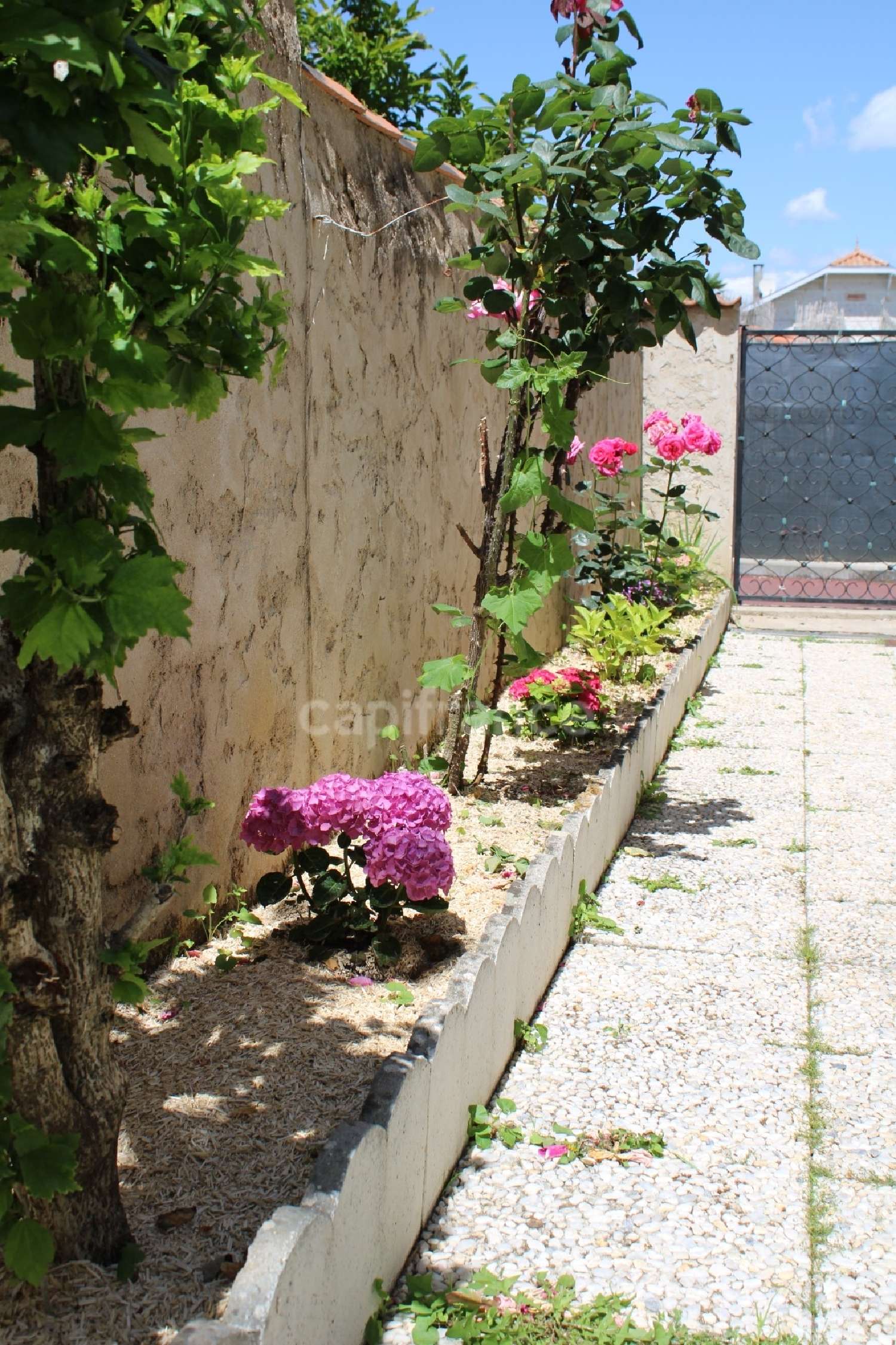 kaufen Haus Royan Charente-Maritime 6