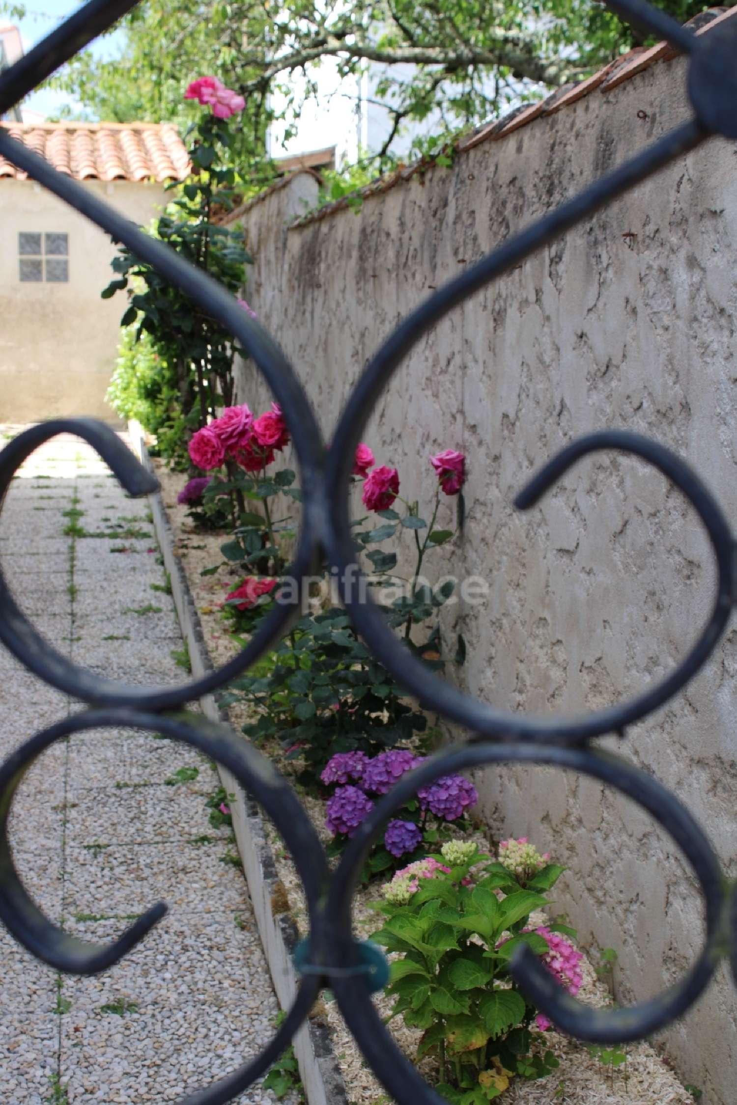 kaufen Haus Royan Charente-Maritime 7