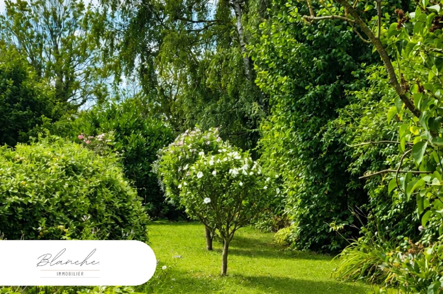 for sale house Rumegies Nord 1