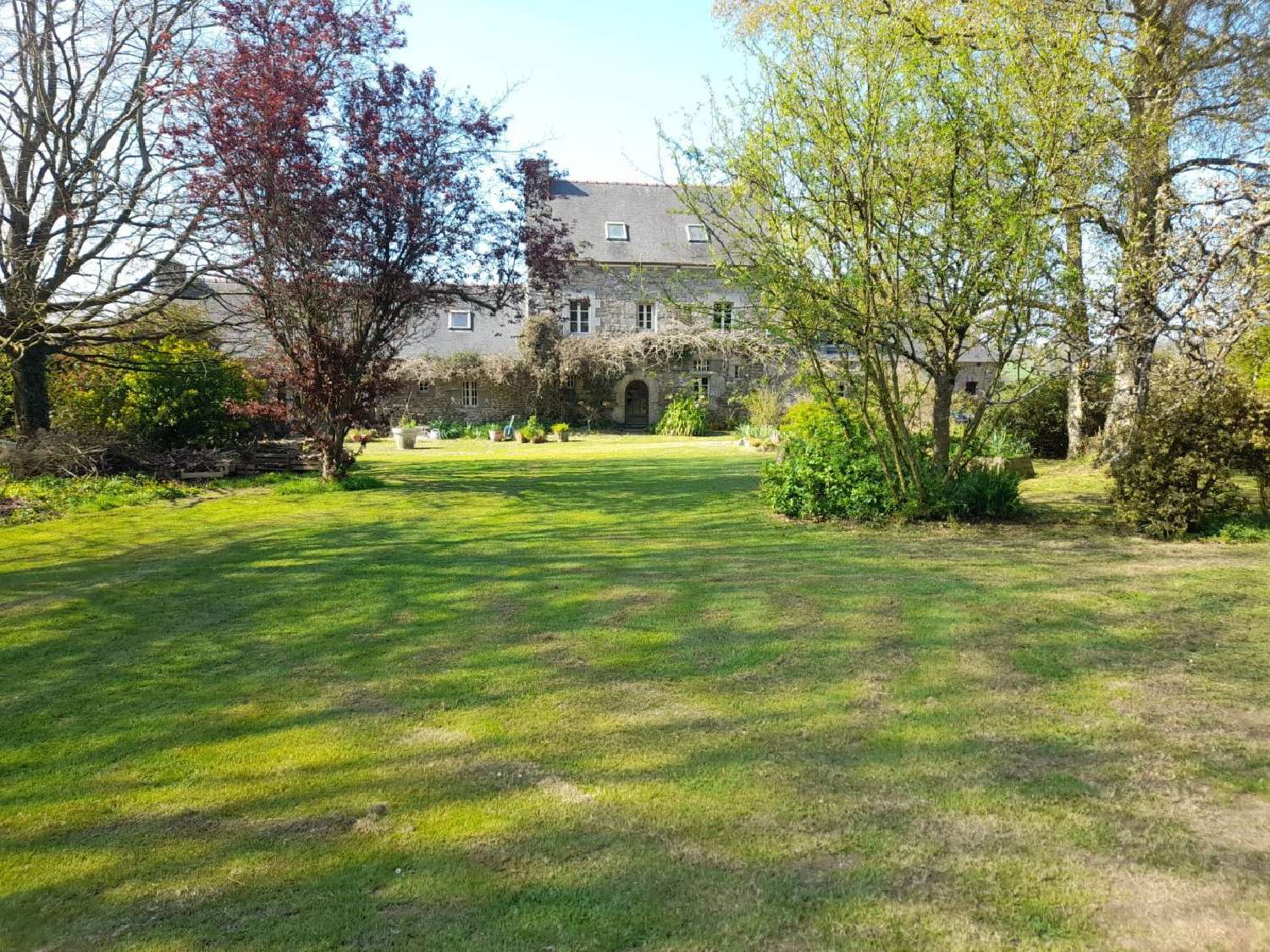  for sale house Runan Côtes-d'Armor 1
