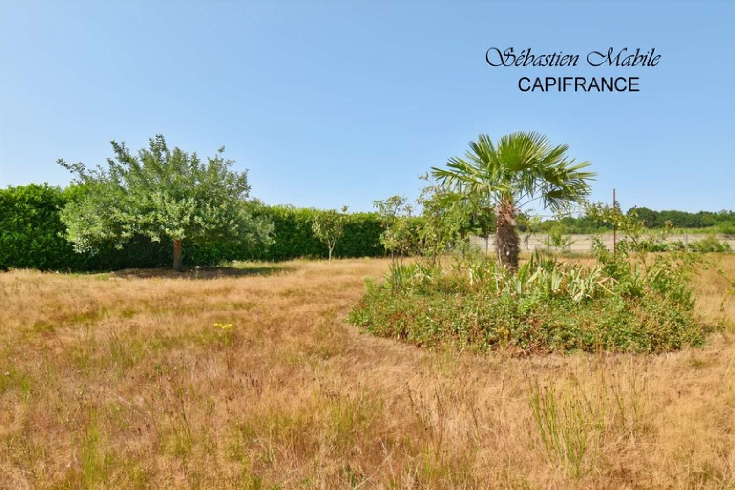 for sale house Sains Ille-et-Vilaine 7