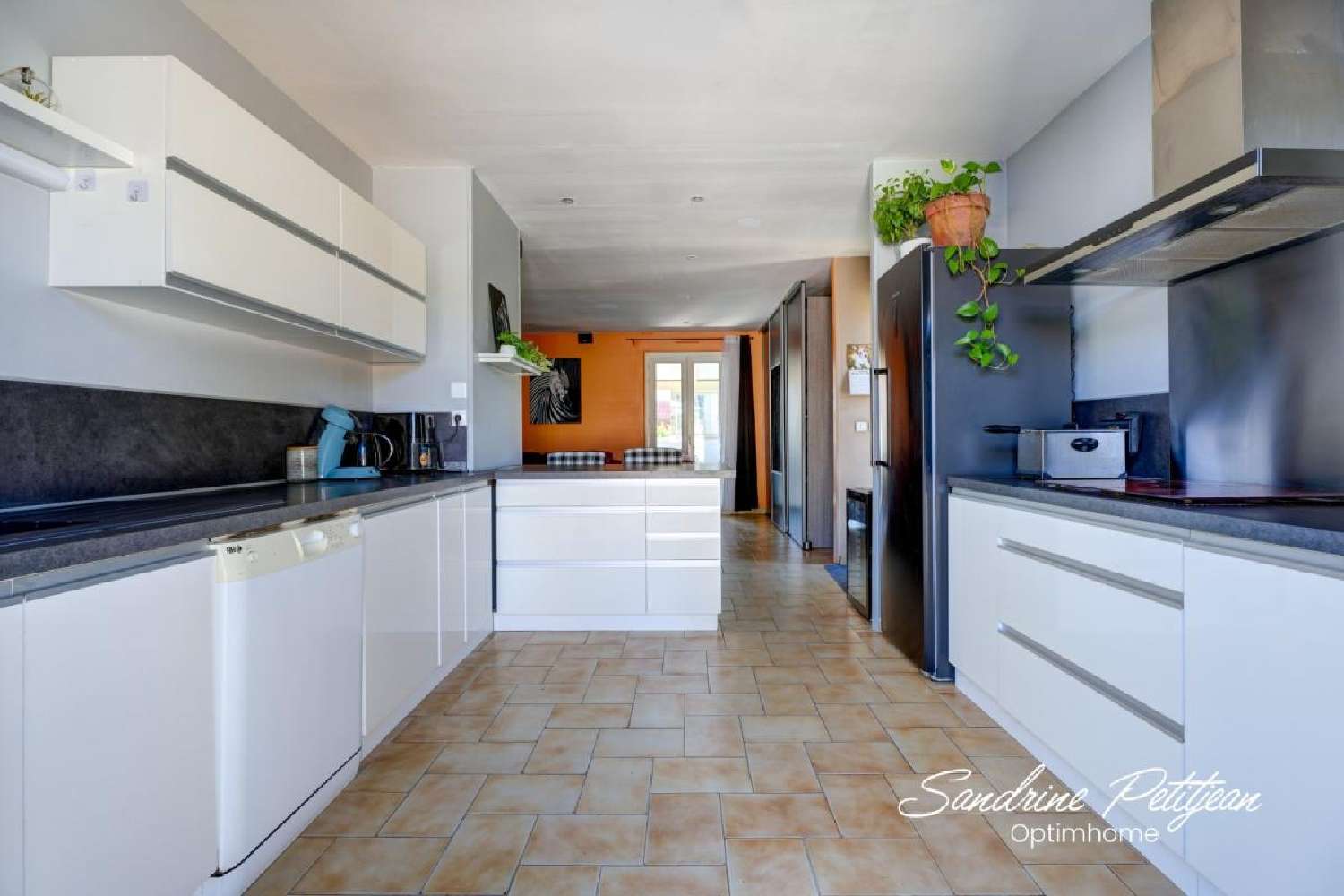  for sale house Saint-André-de-Corcy Ain 3