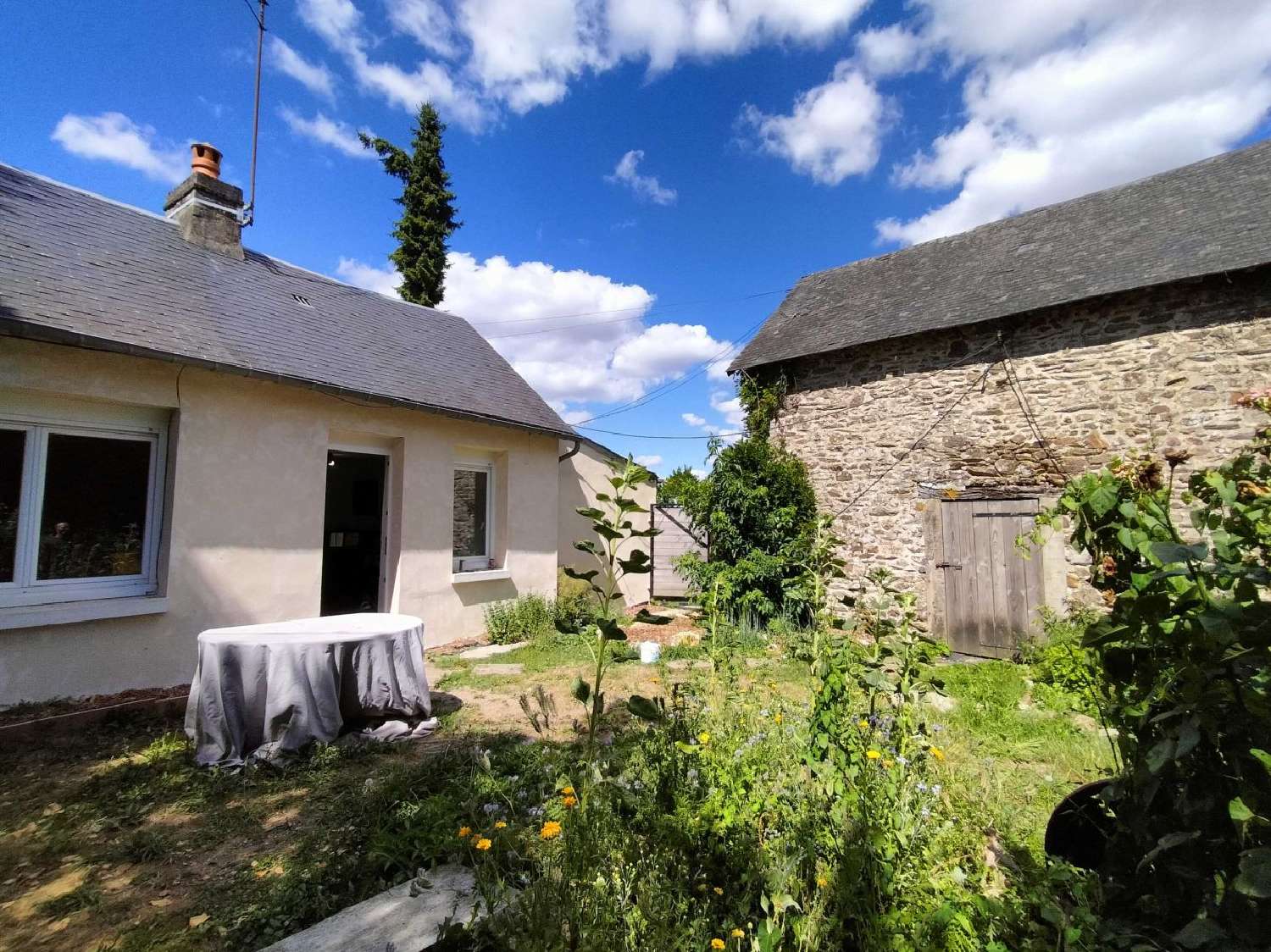kaufen Haus Saint-Aubin-du-Désert Mayenne 4