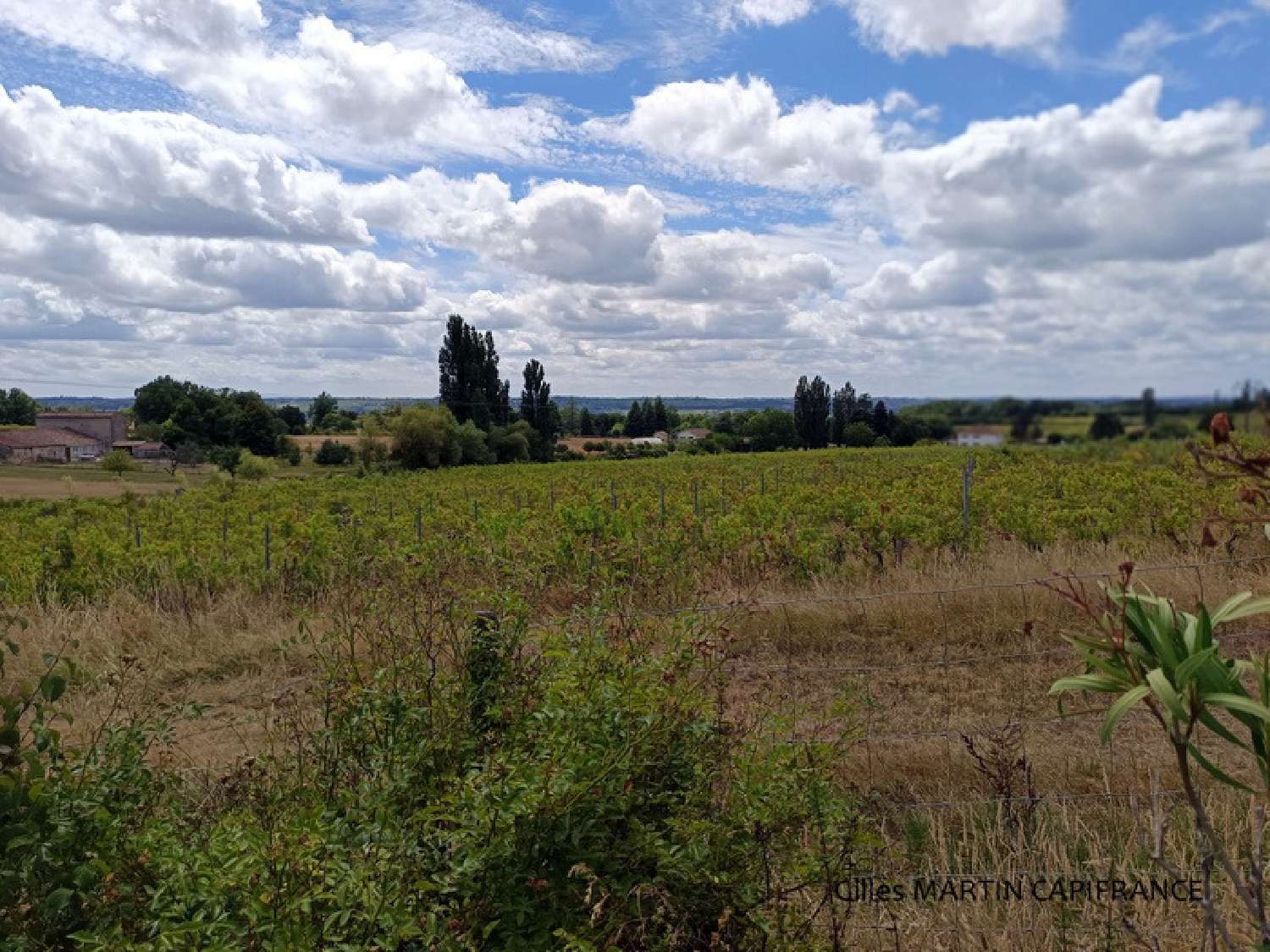 for sale house Saint-Avit-de-Soulège Gironde 4